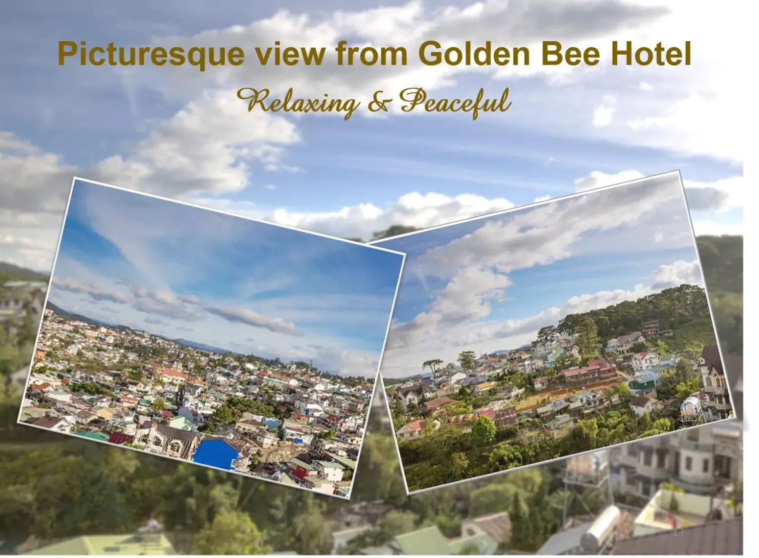 Bird's eye view in Golden Bee Hotel