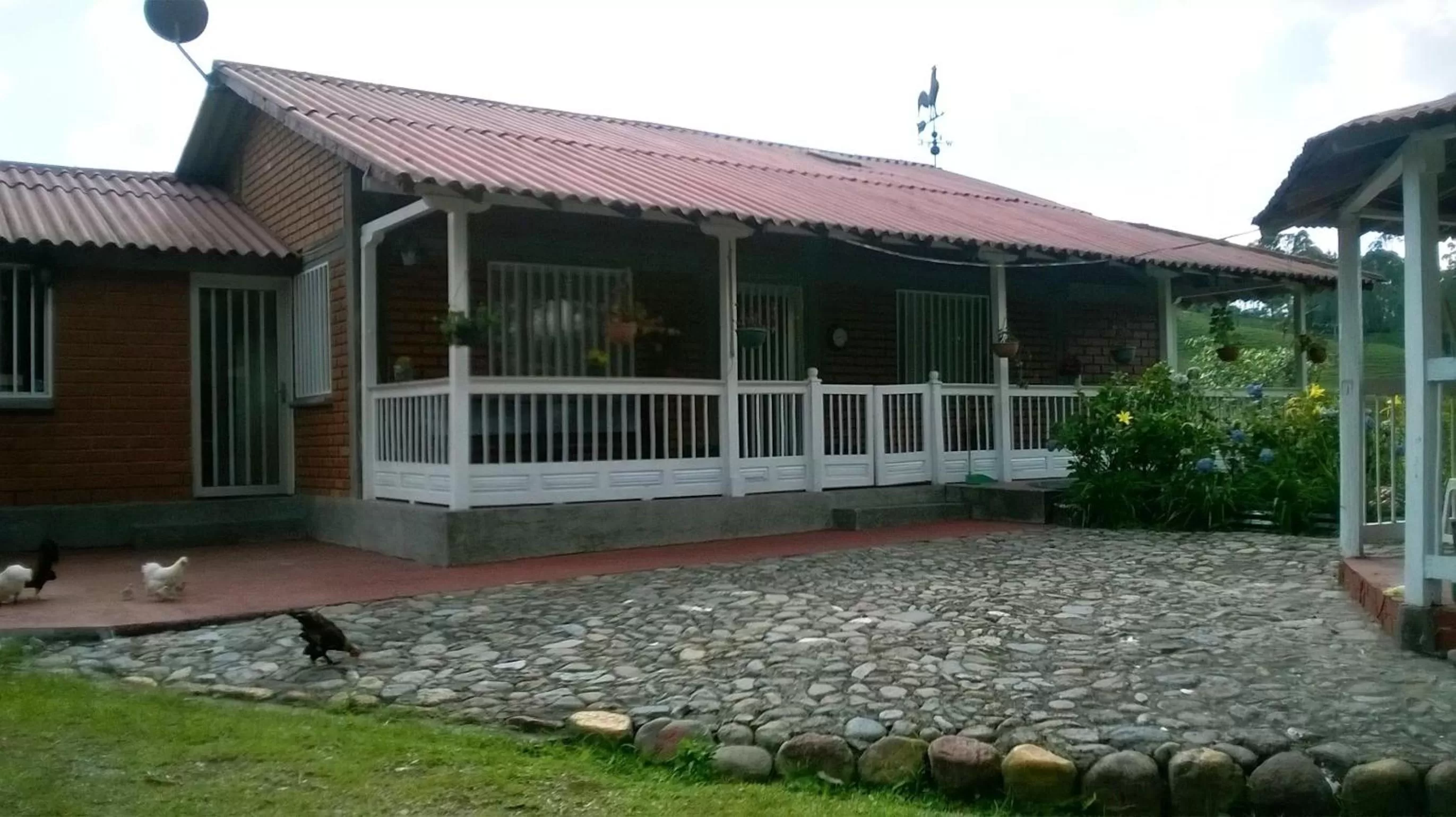 Area and facilities in La Gaviota BnB