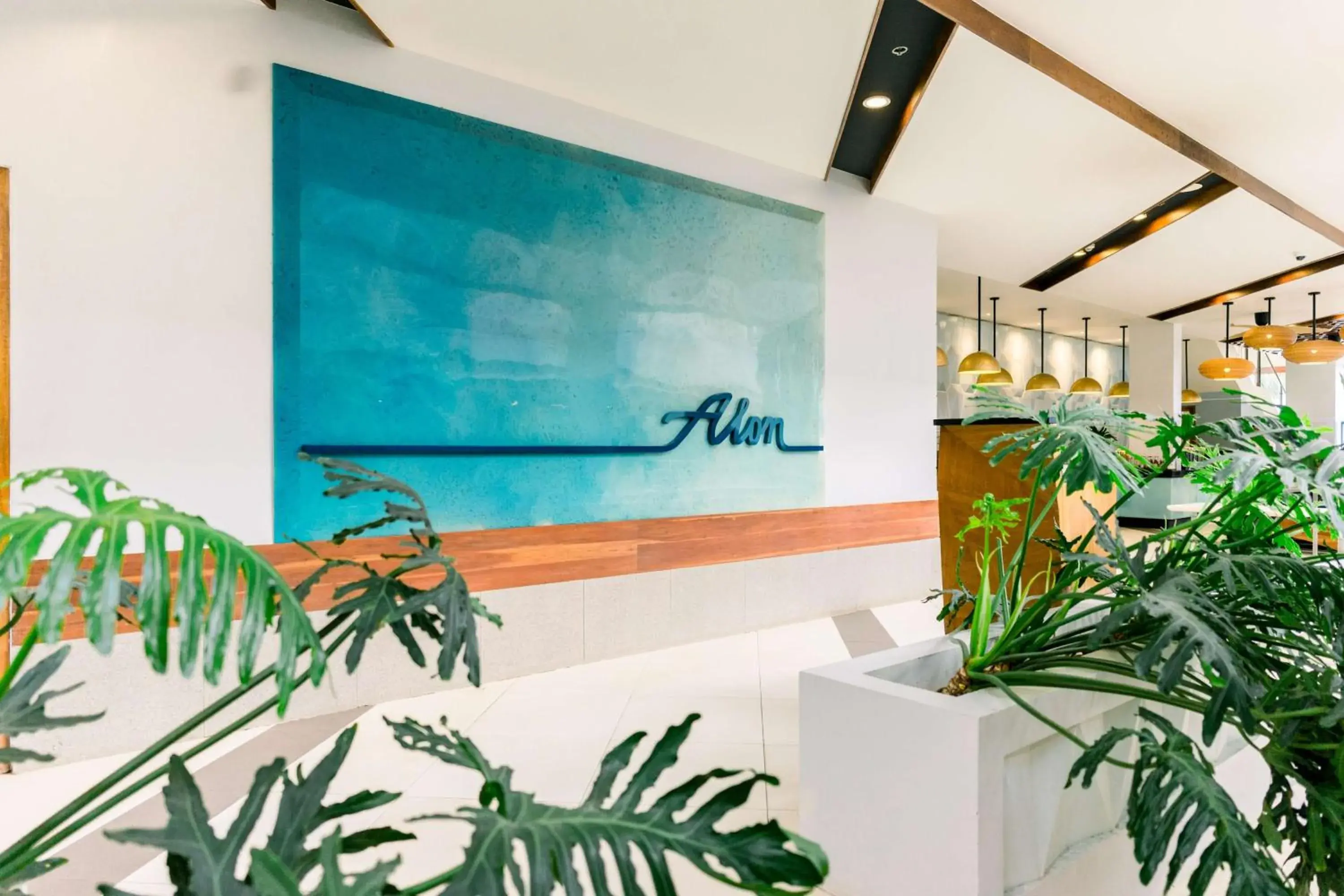 Restaurant/places to eat in Best Western Plus The Ivywall Resort-Panglao Restaurant/places to eat in Best Western Plus The Ivywall Resort-Panglao