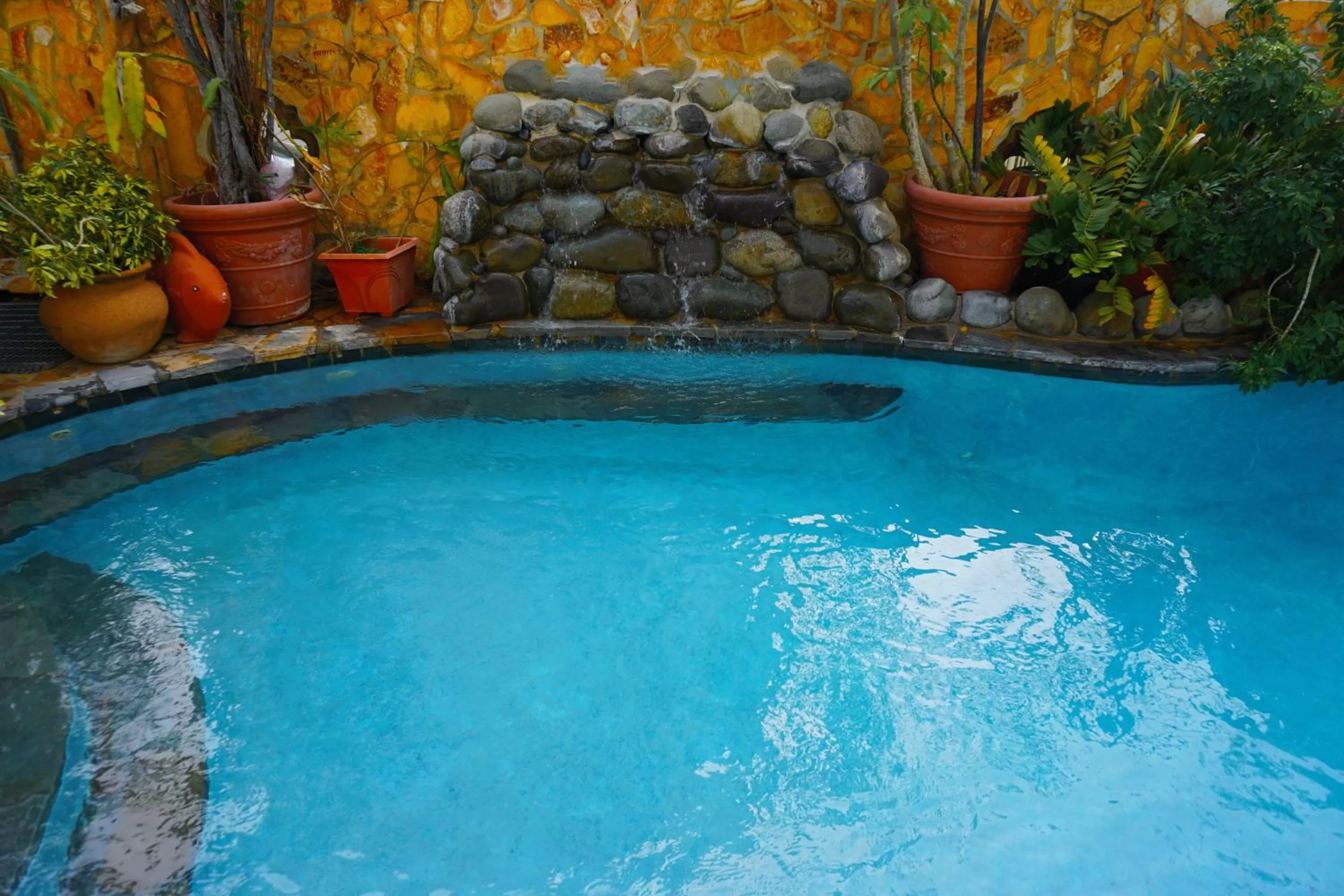 Day in At Wind Chimes Boutique Hotel