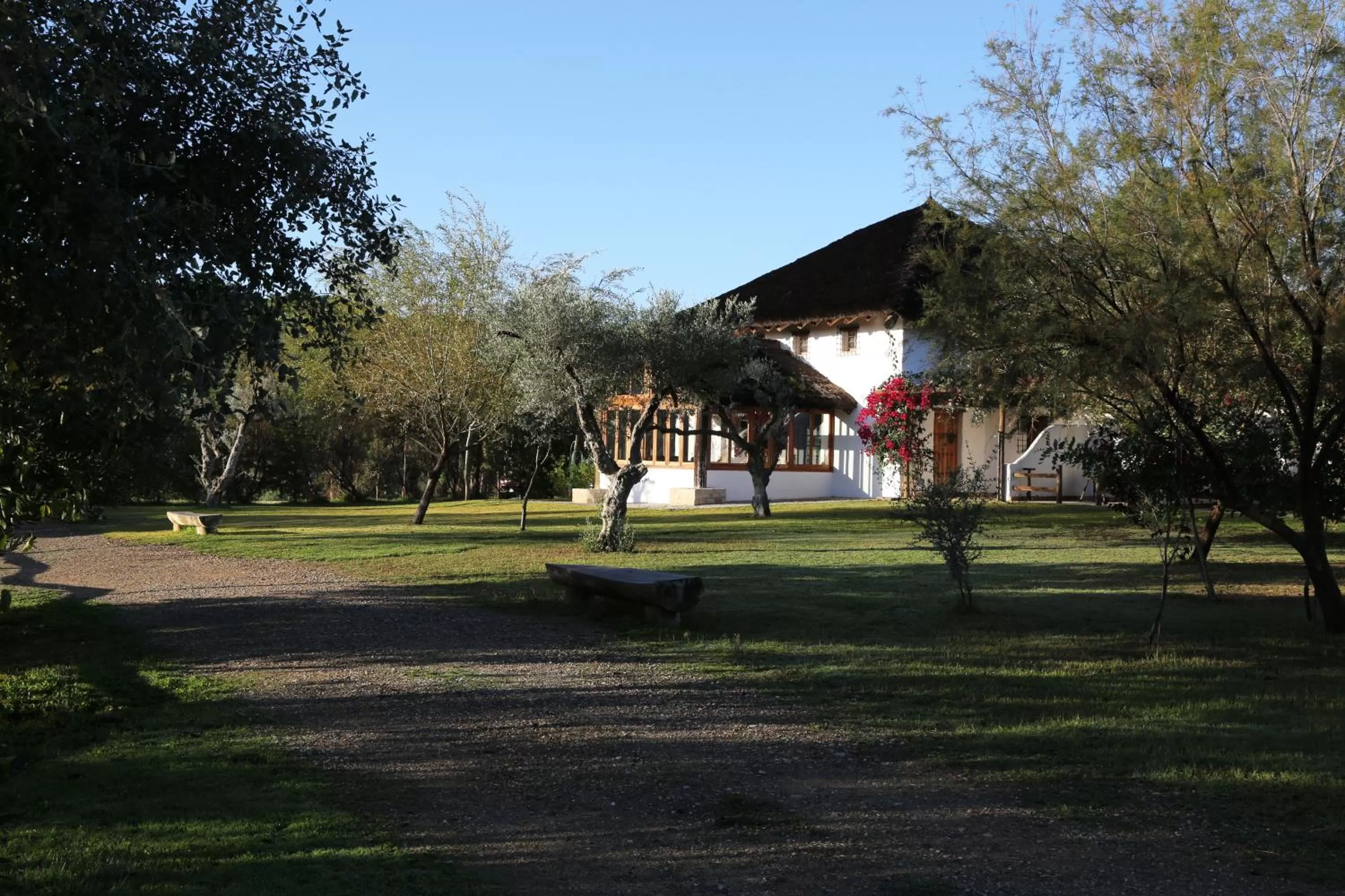 Garden in Ardea Purpurea