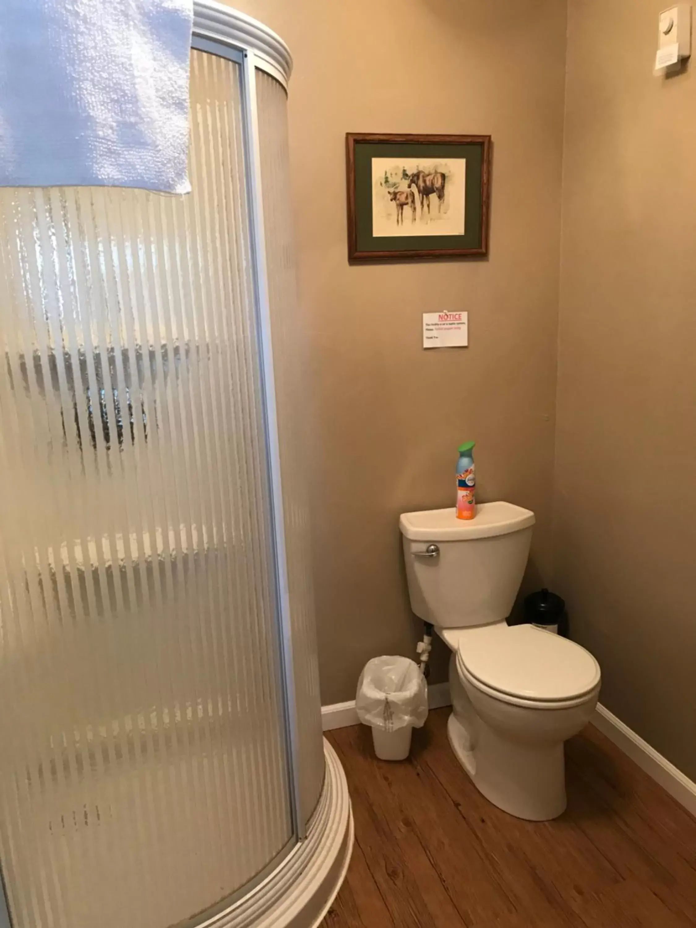 Toilet, Bathroom in McKinley View B&B