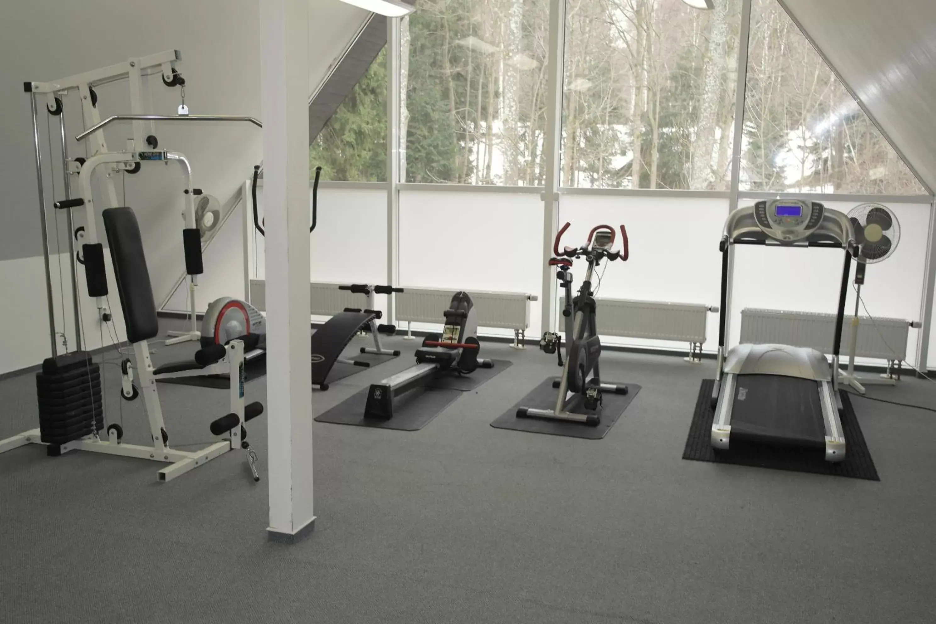 Fitness centre/facilities, Fitness Center/Facilities in Wellness hotel Harrachovka