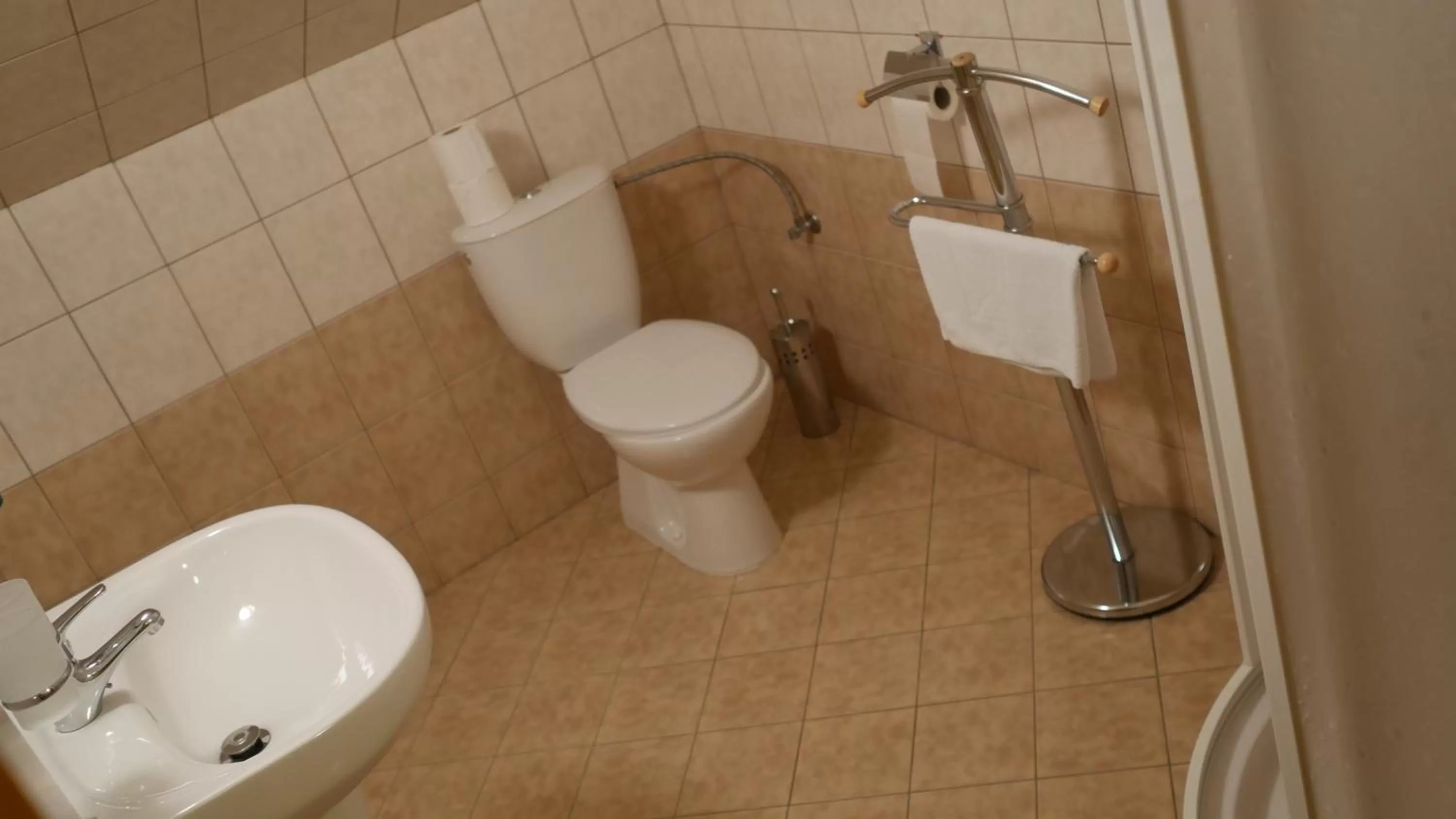 Hotel Bílý Koníček