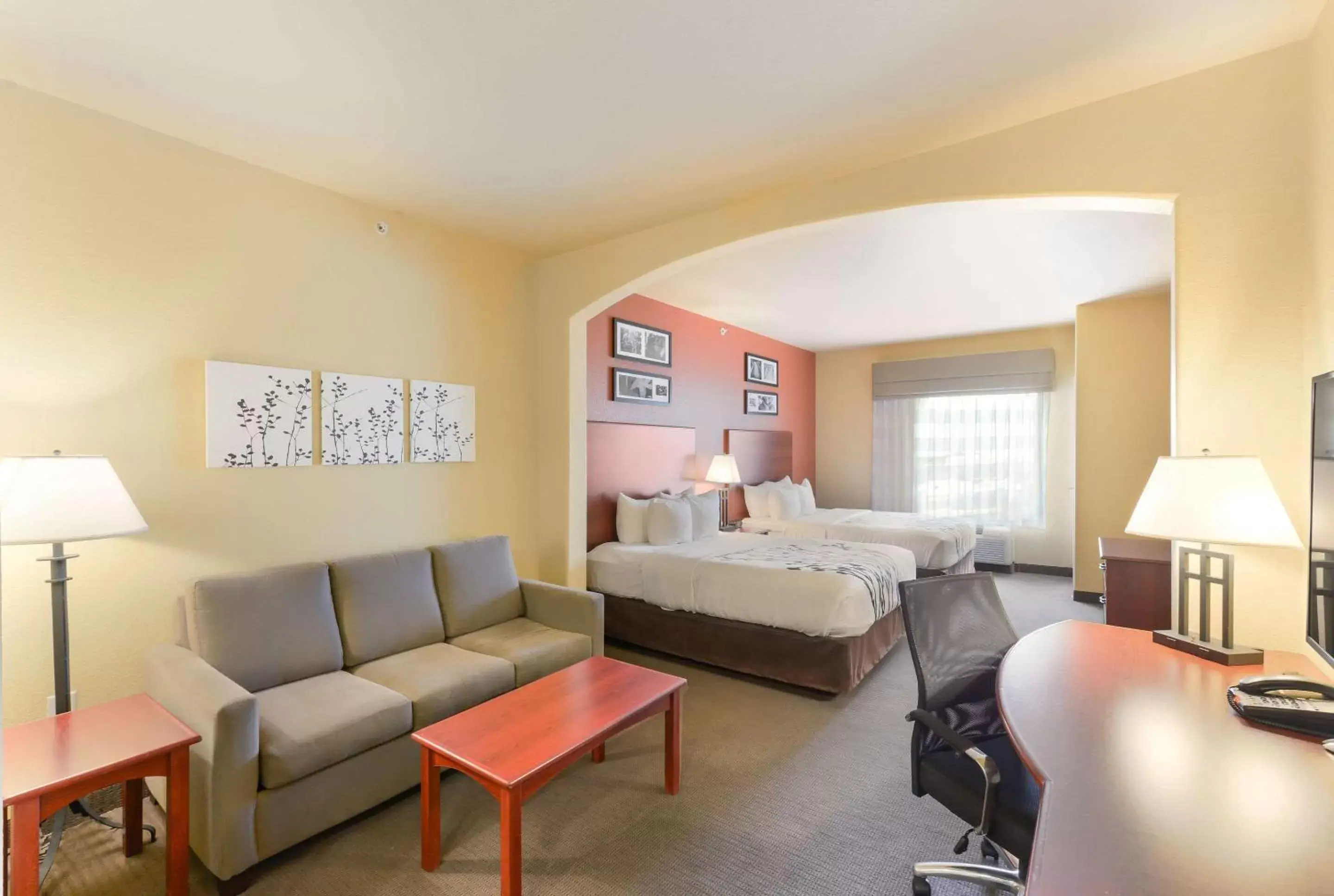 Photo of the whole room in Sleep Inn & Suites Midland West