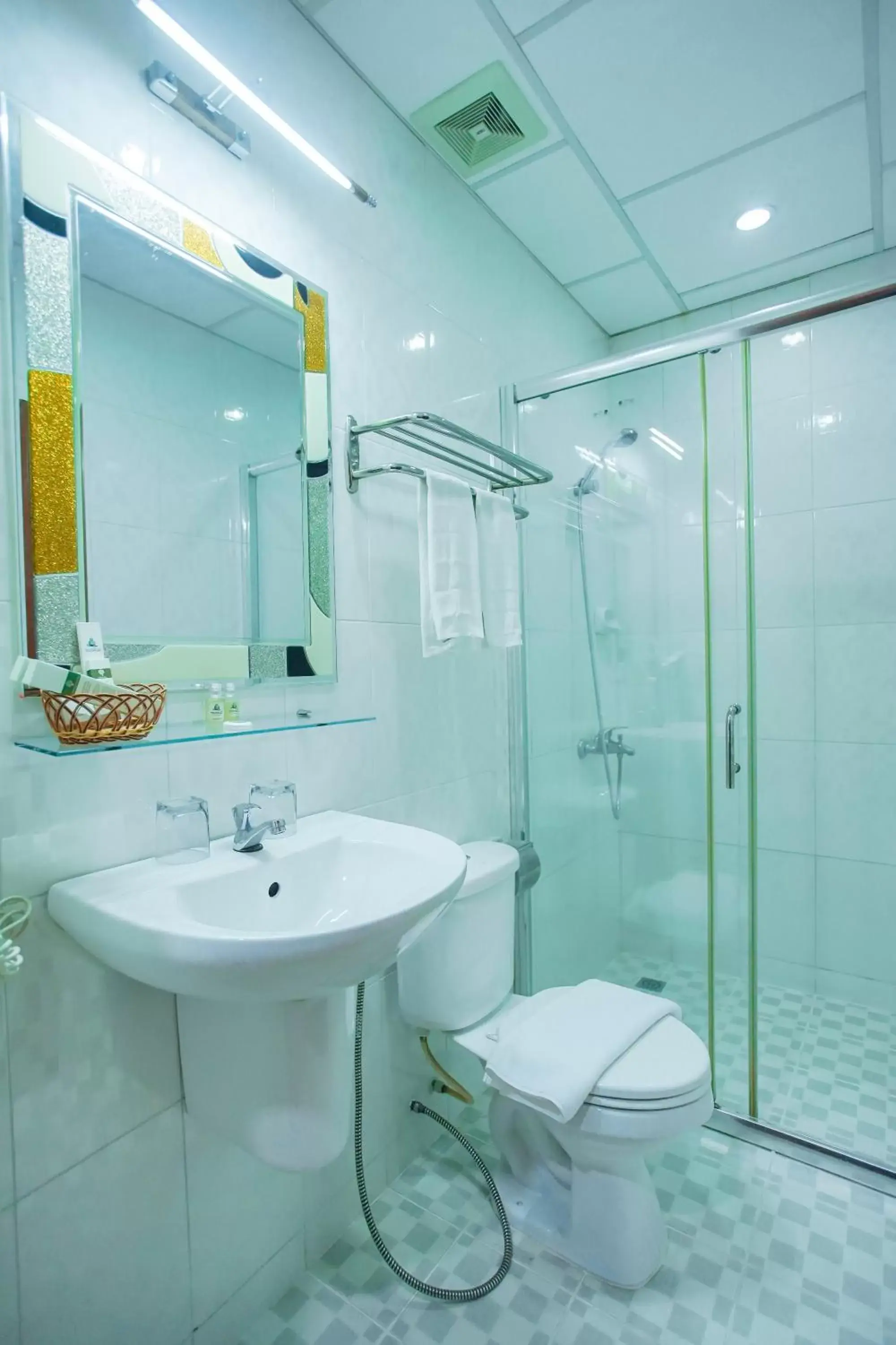 Toilet, Bathroom in Silver Mounts Hotel