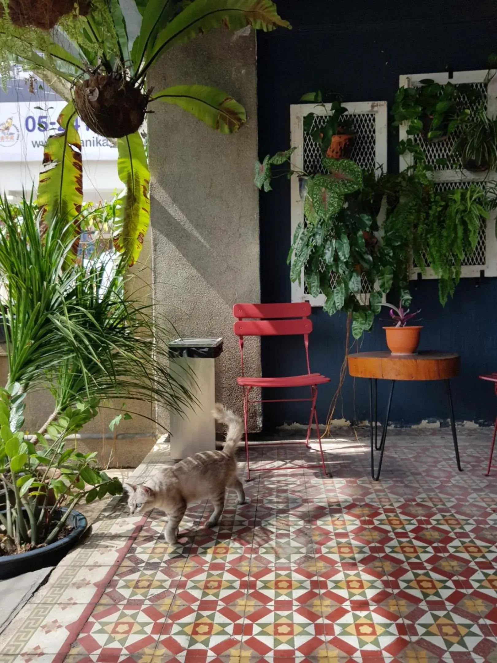 Patio in The Brownstone Hostel & Space