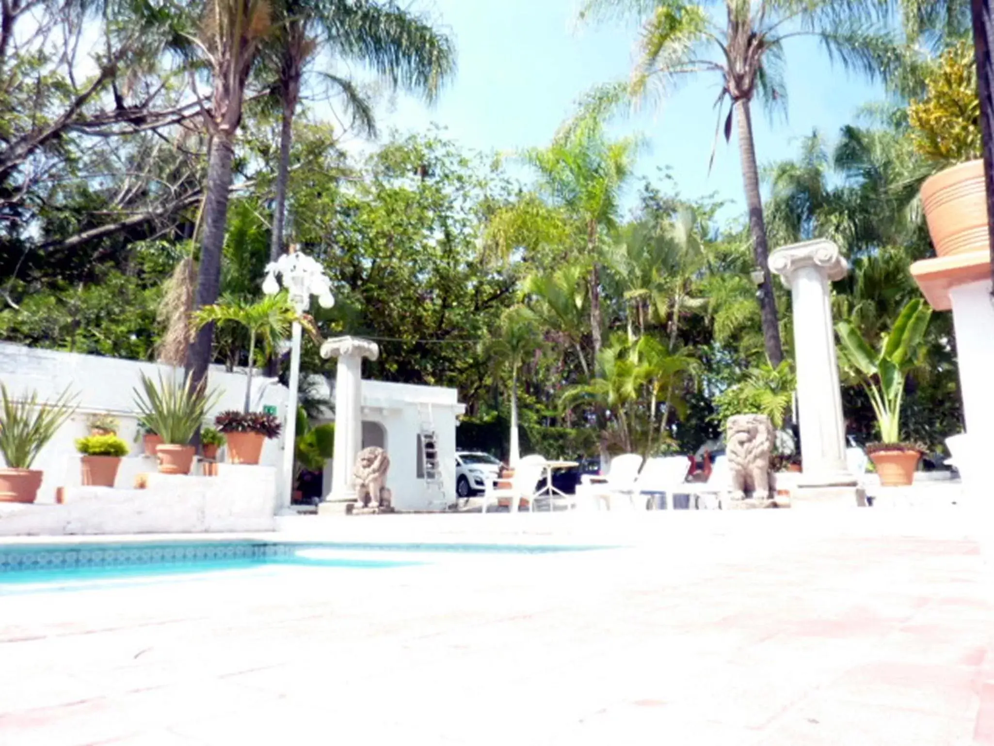 Day, Swimming Pool in Hotel Bajo el Volcan