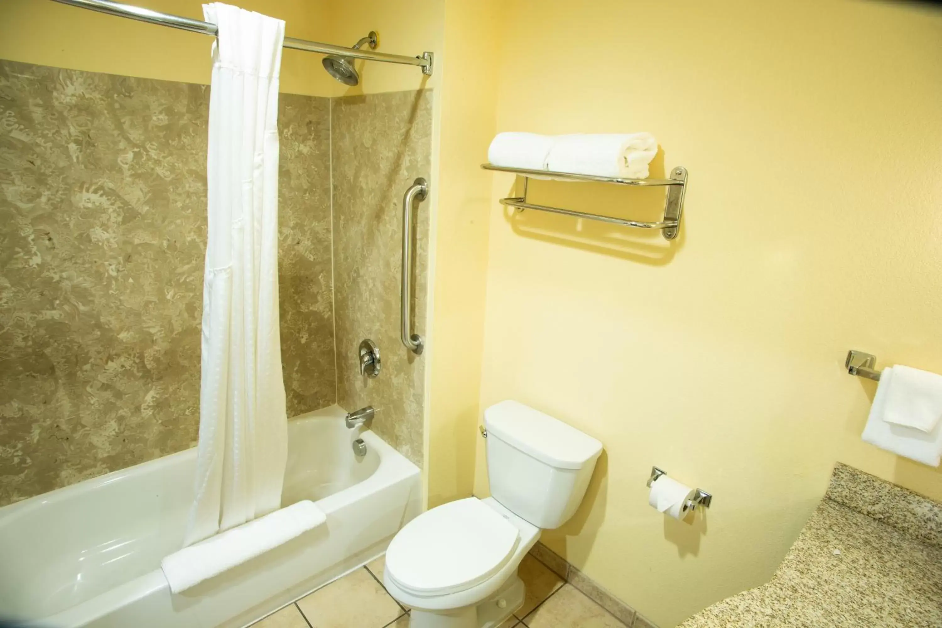 Shower, Bathroom in Holiday Inn Express Harrisburg West, an IHG Hotel