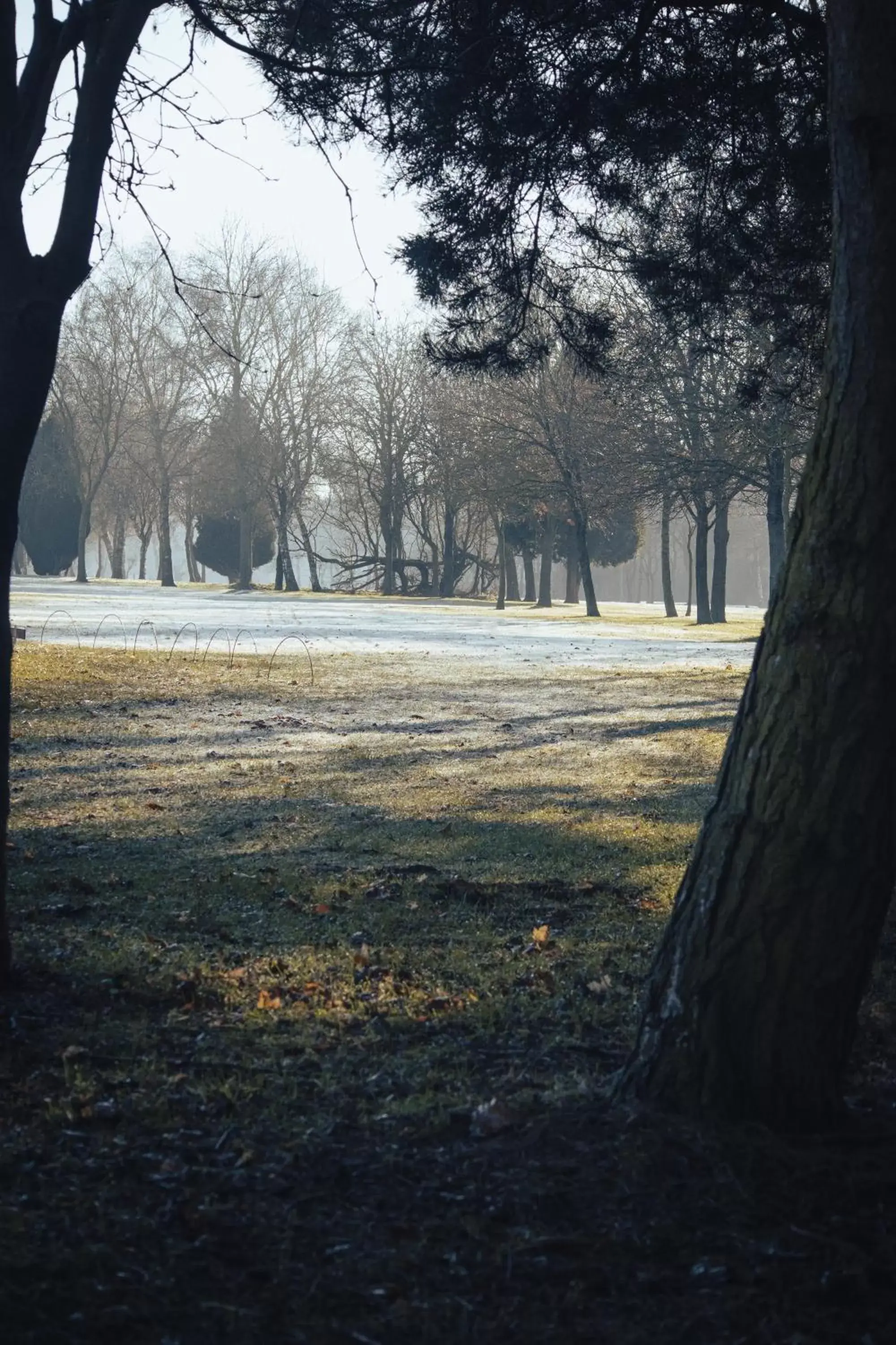 Golfcourse in Draycote Hotel And Whitefields Golf Course