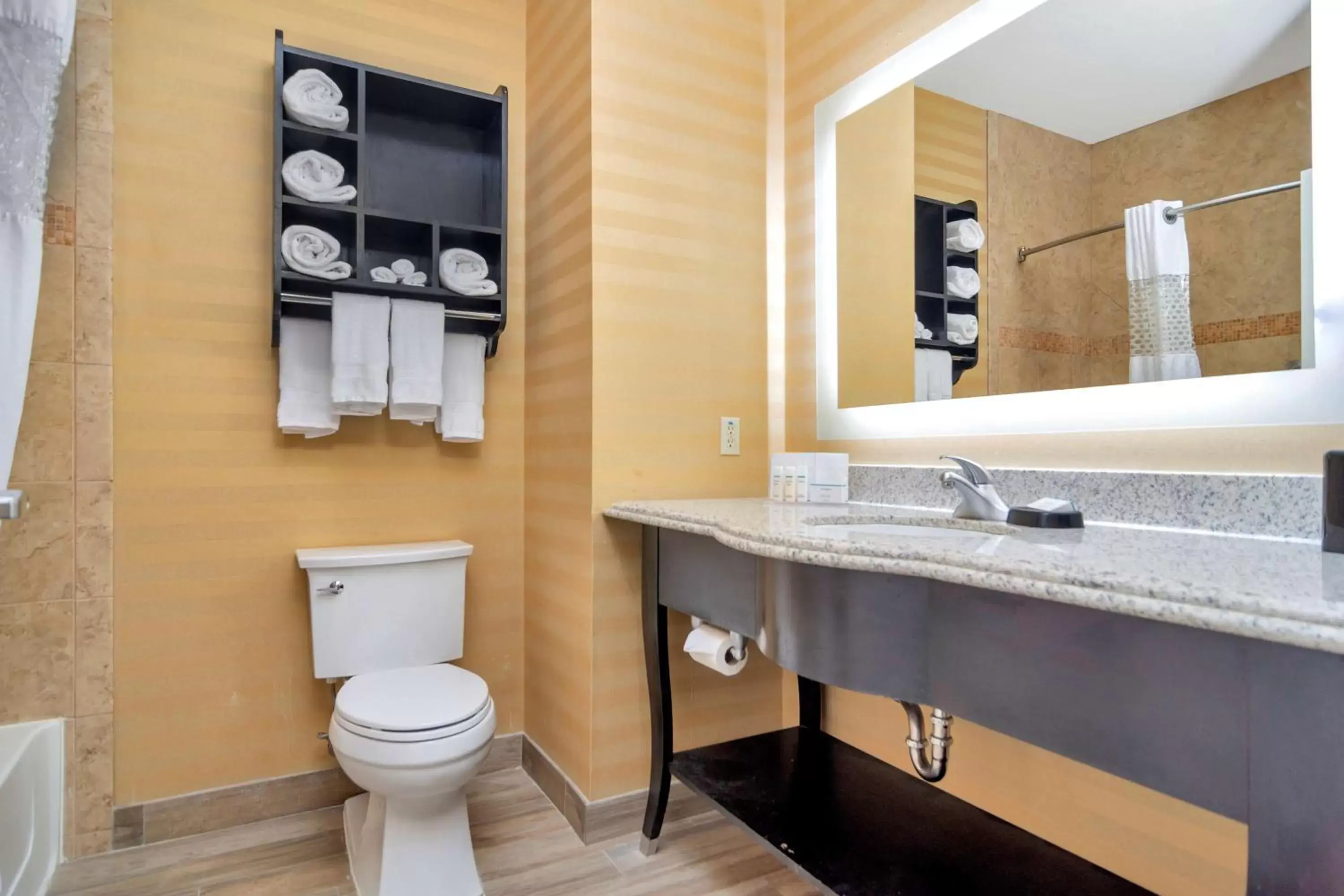 Bathroom in Hampton Inn & Suites Fort Worth-Fossil Creek