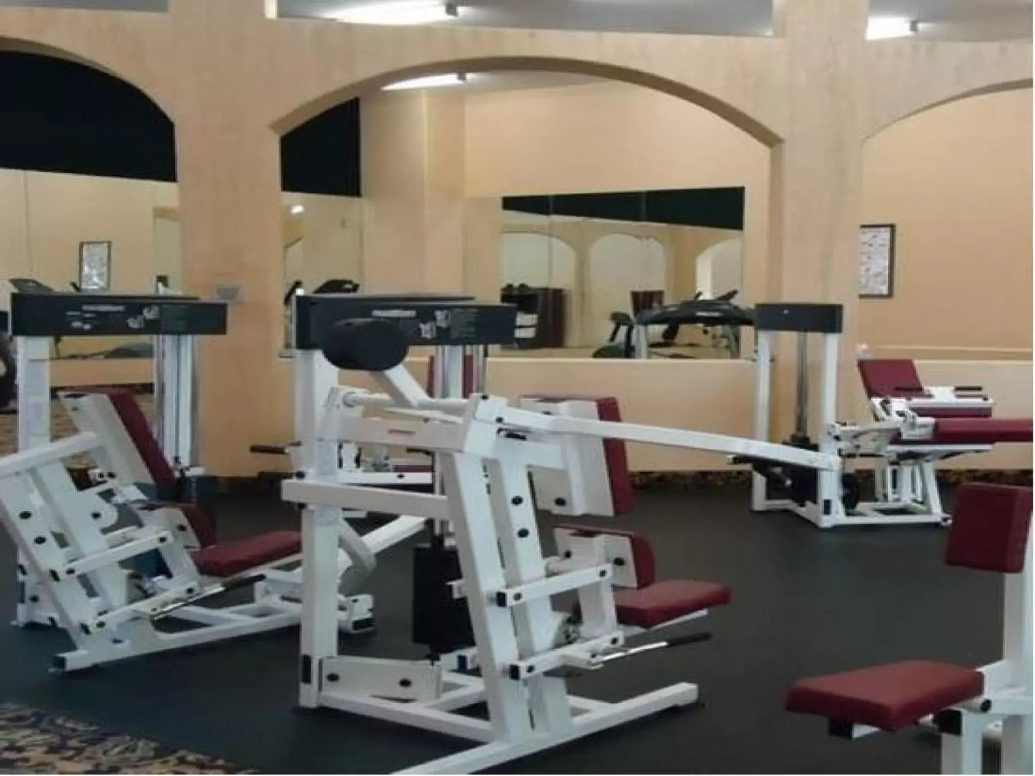 Fitness centre/facilities, Fitness Center/Facilities in Tuscany Suites & Casino
