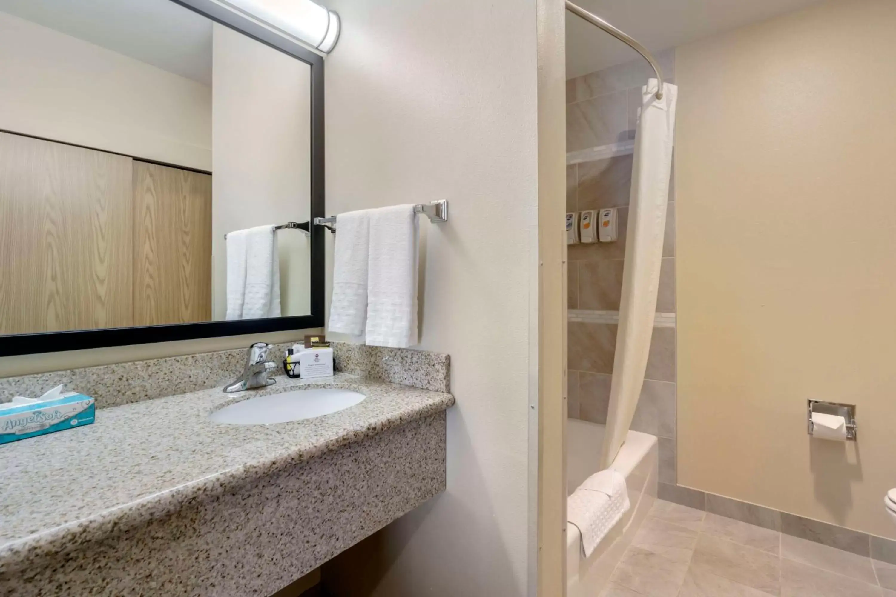 Bathroom in Best Western Plus Grapevine Inn