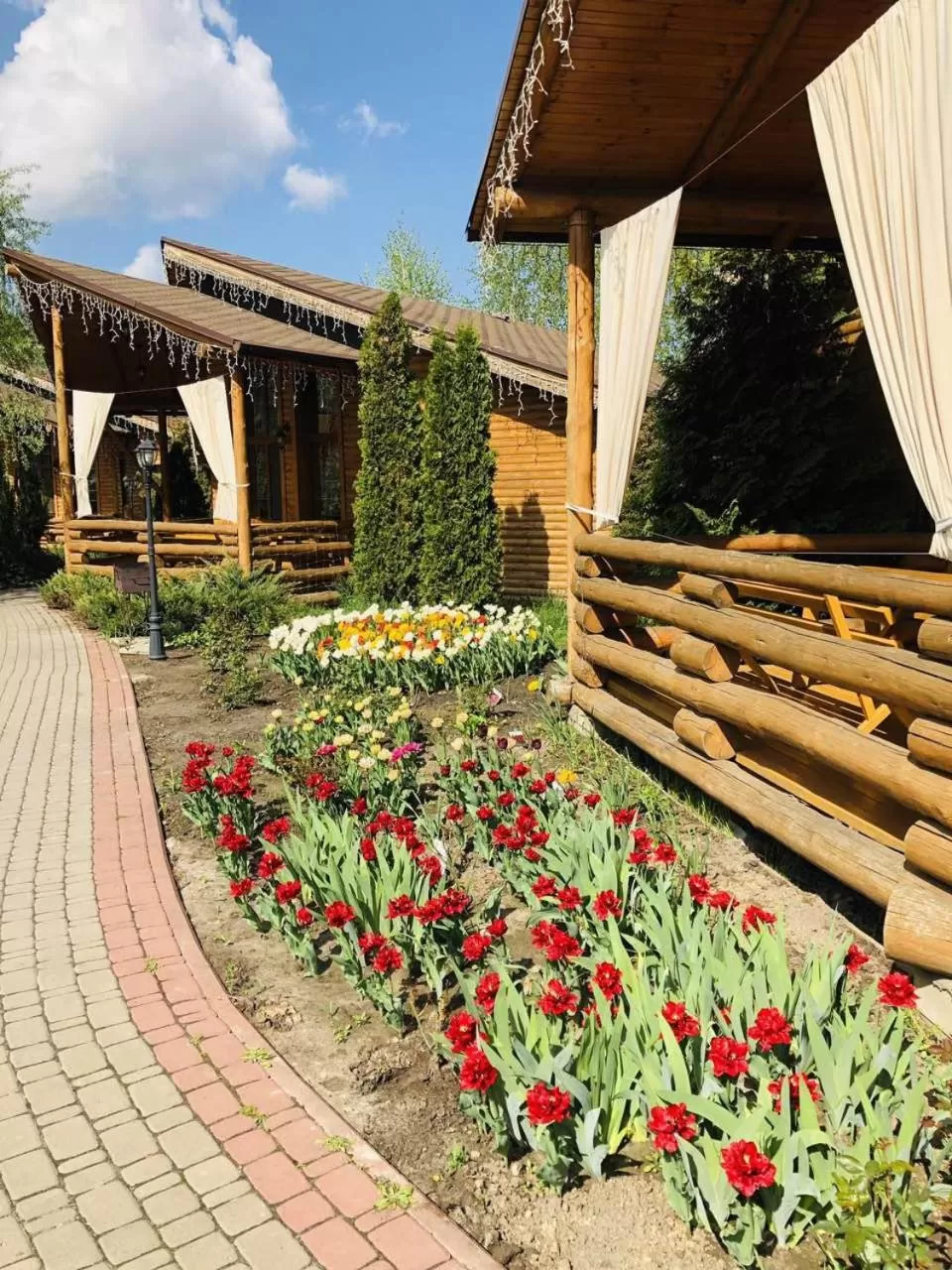 Property Building in Petrovskyi Brovar