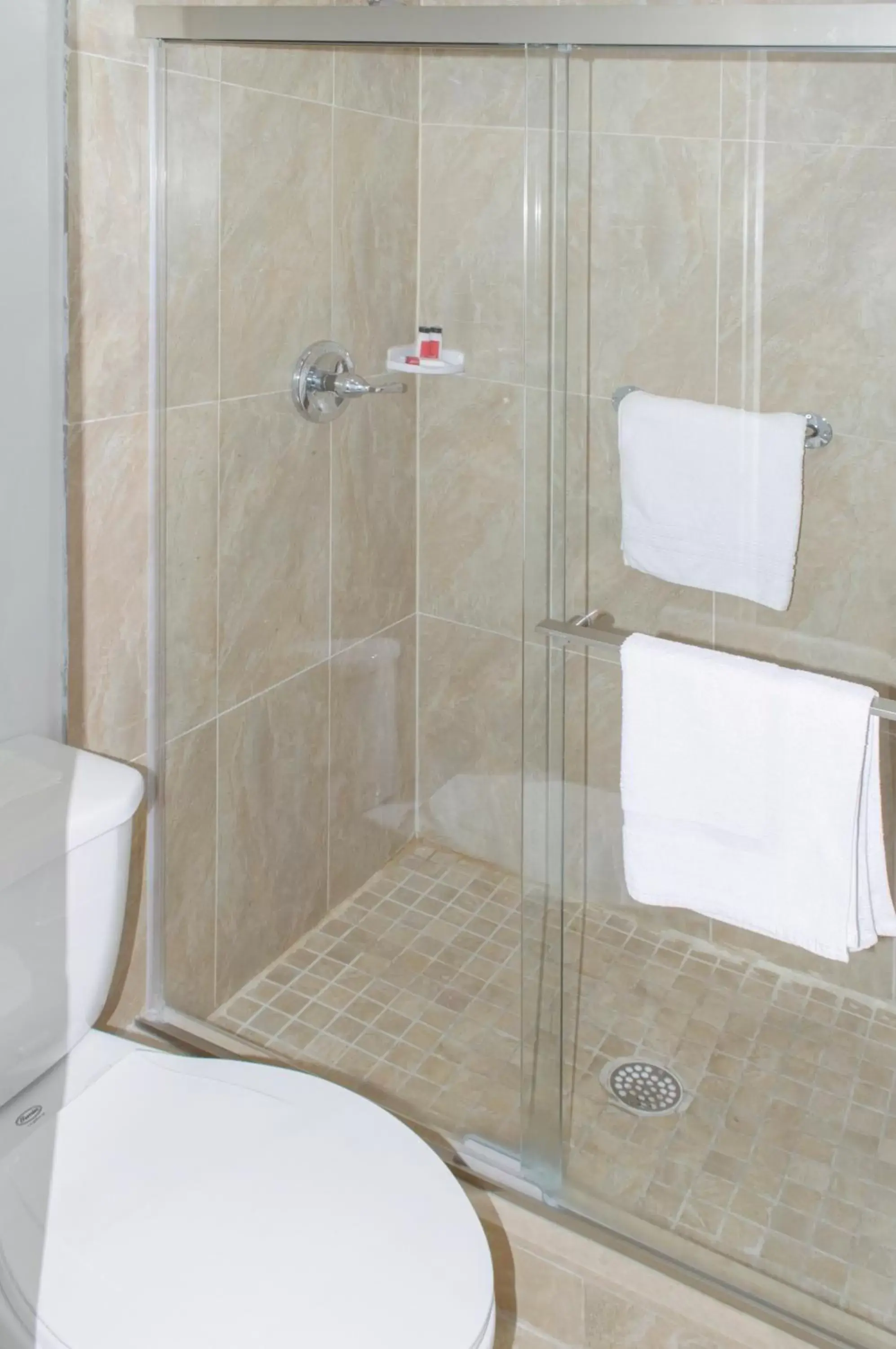 Shower, Bathroom in Travelodge by Wyndham Manhasset