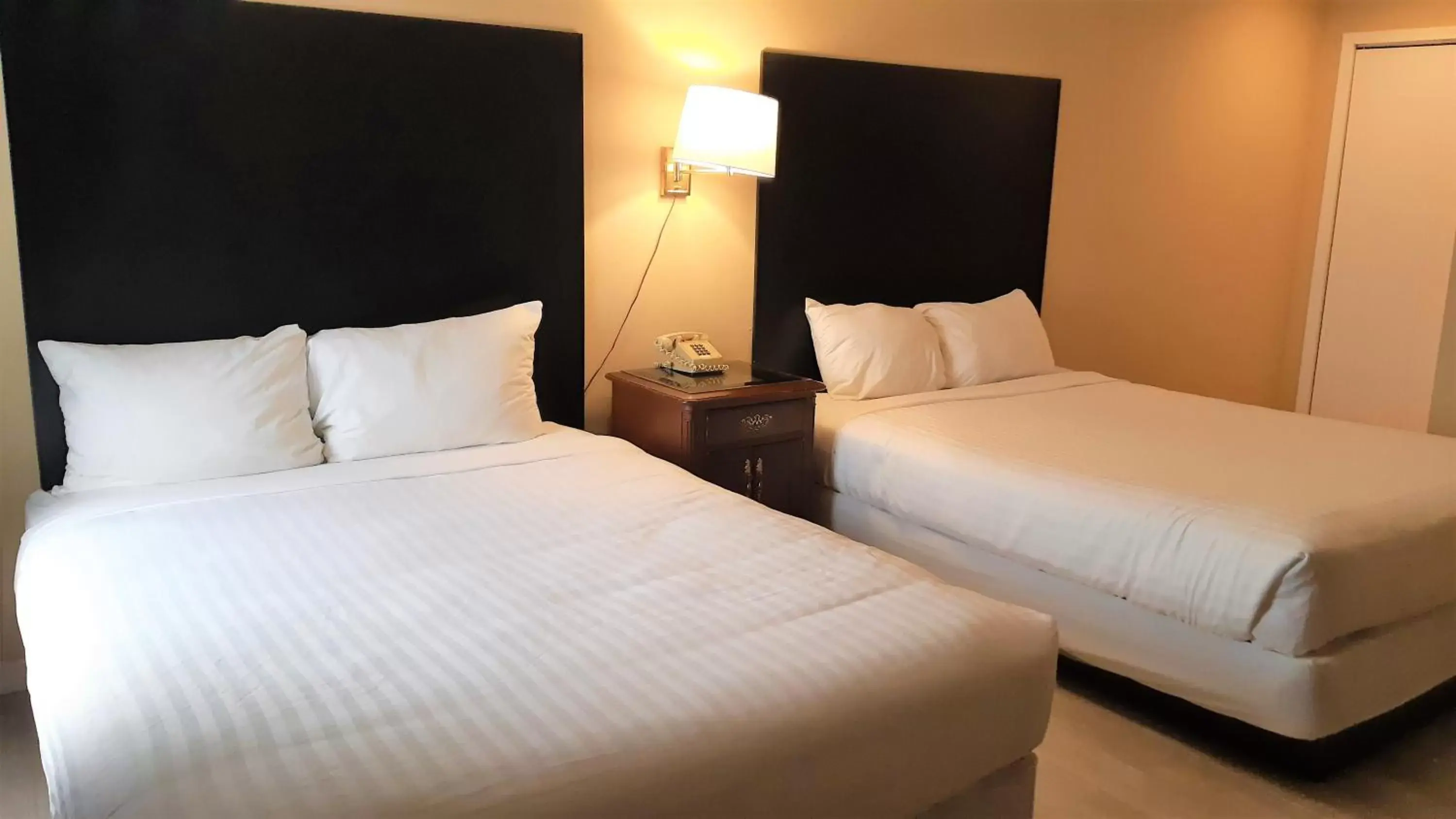 Economy Double Room - Pet Friendly in Cloud 9 Inn