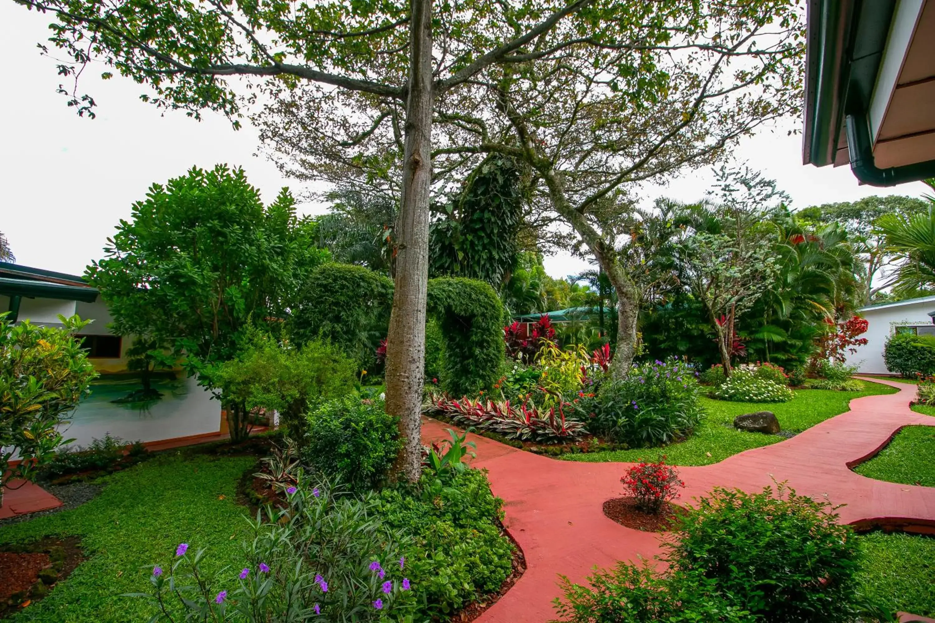 Garden in Hotel La Rosa de America