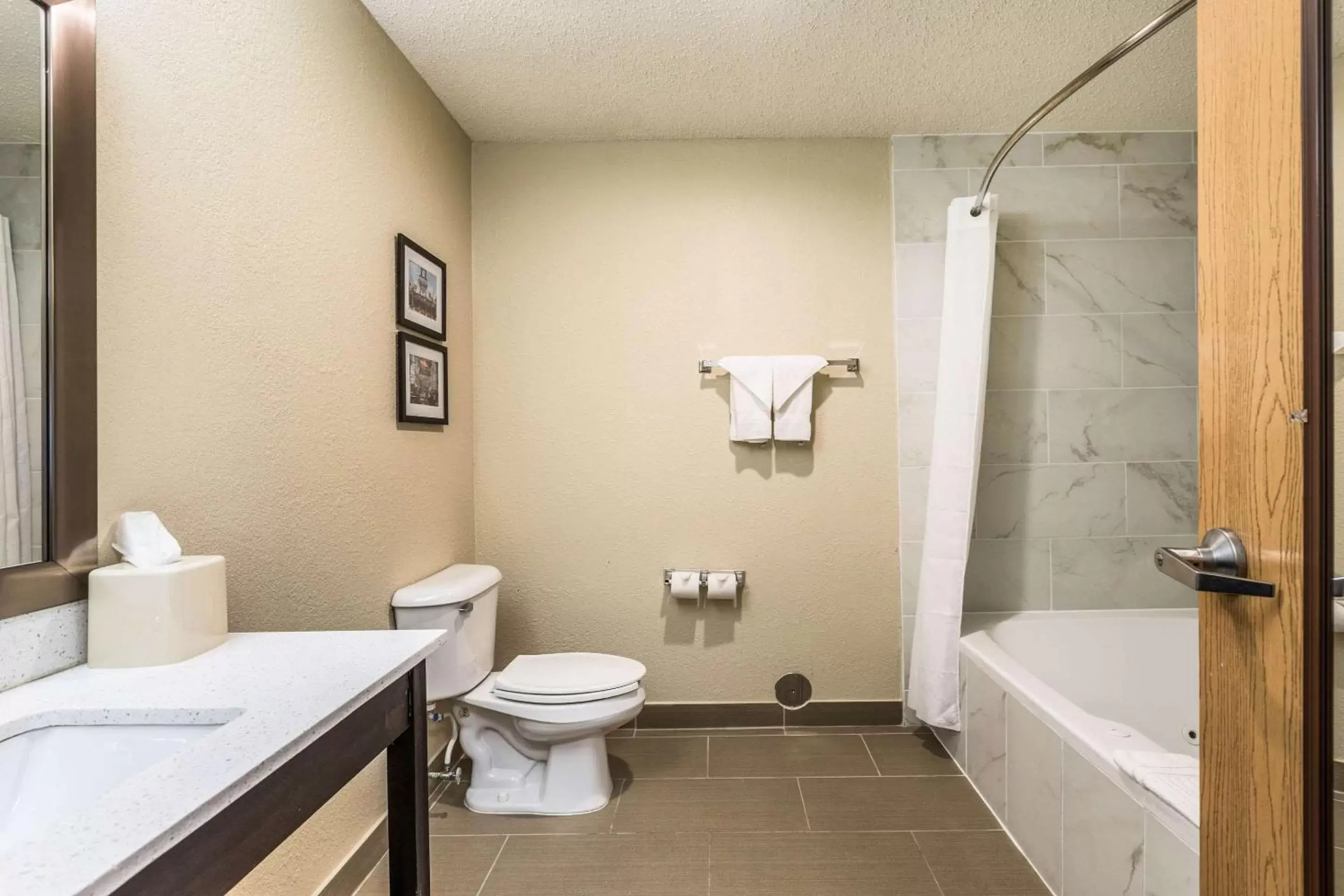 Photo of the whole room, Bathroom in Comfort Inn Downtown Detroit