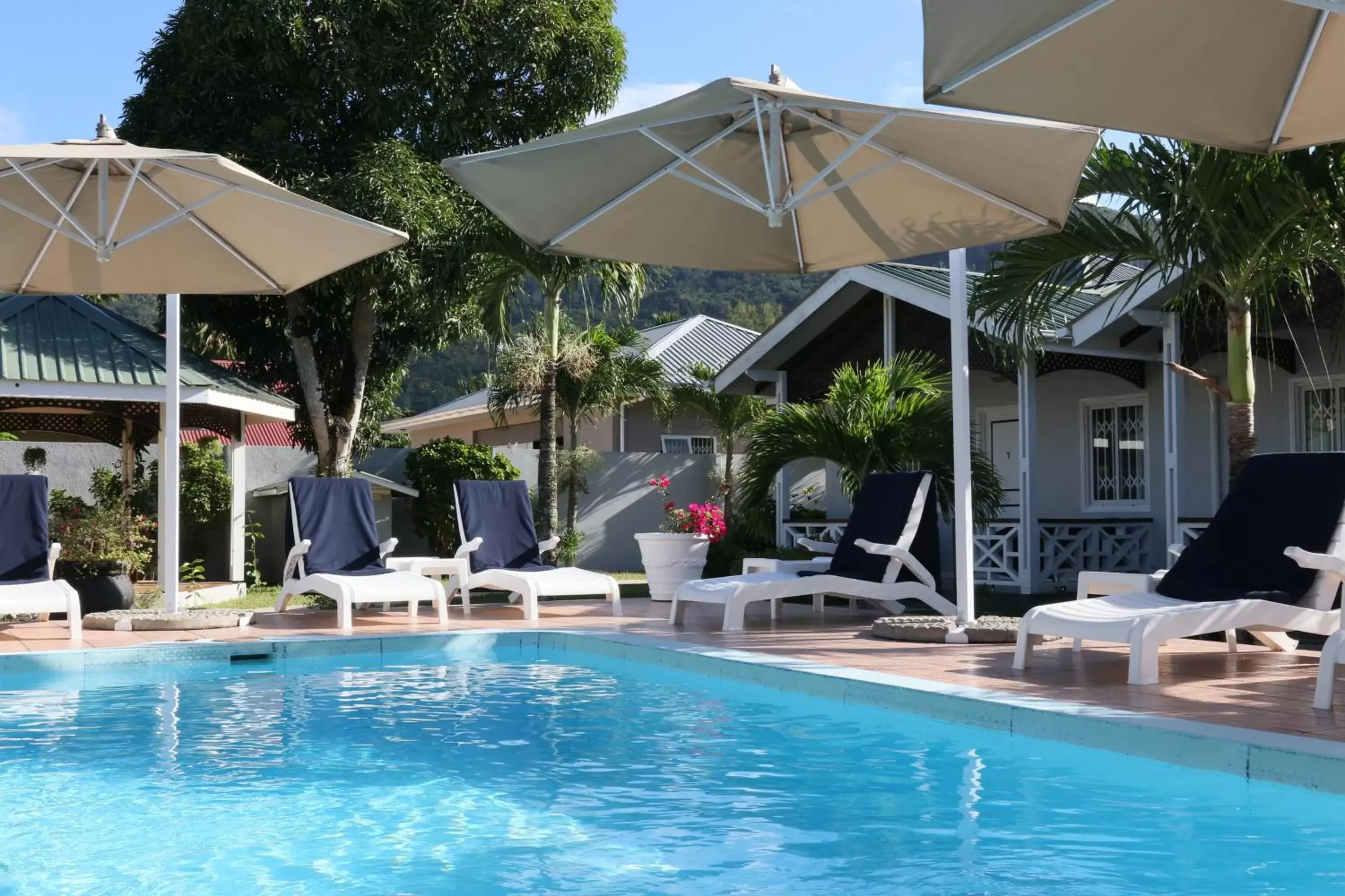 Pool view, Swimming Pool in Hotel La Roussette