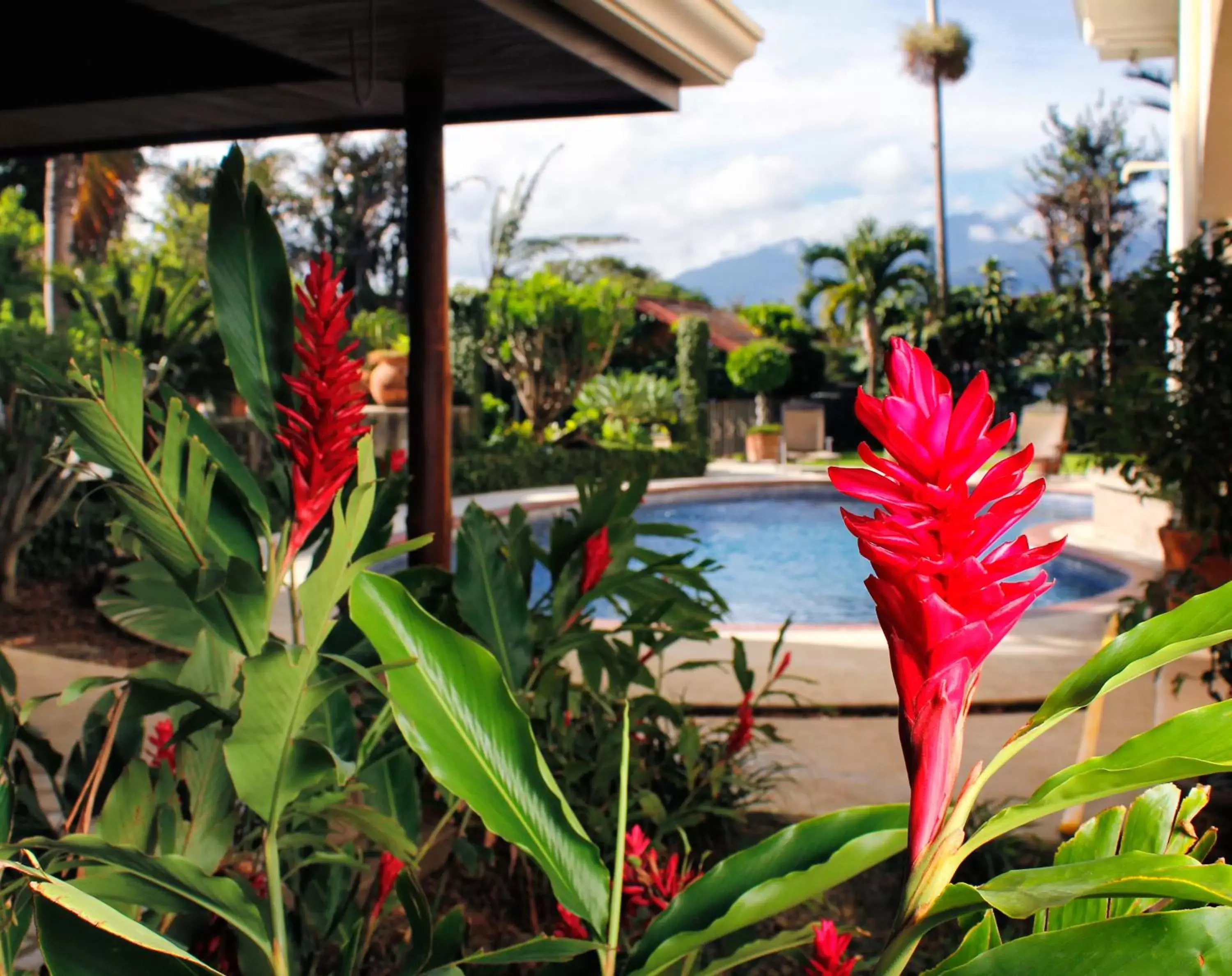 Swimming Pool in La Riviera Hotel