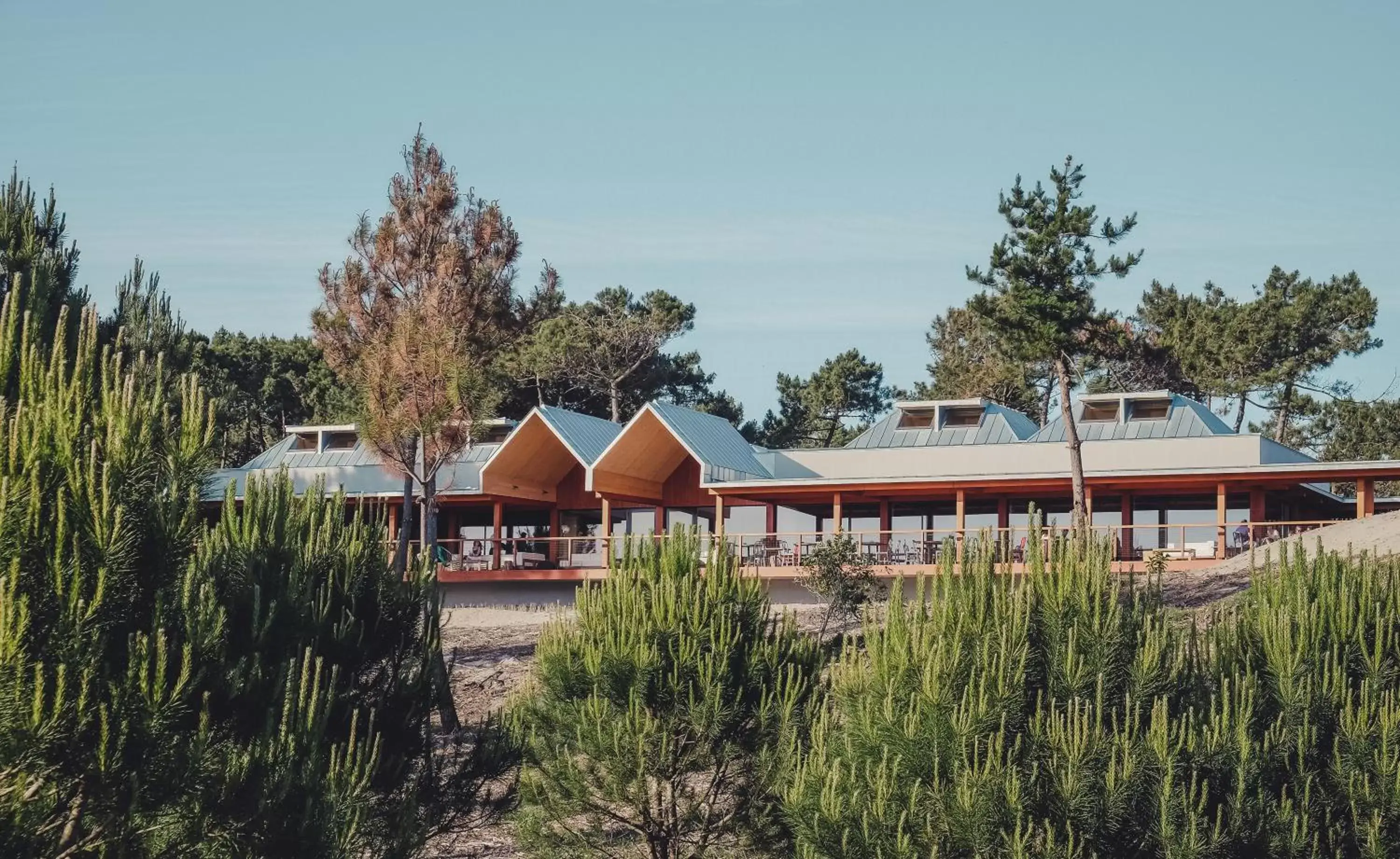 Natural landscape, Property Building in FeelViana Sport Hotel