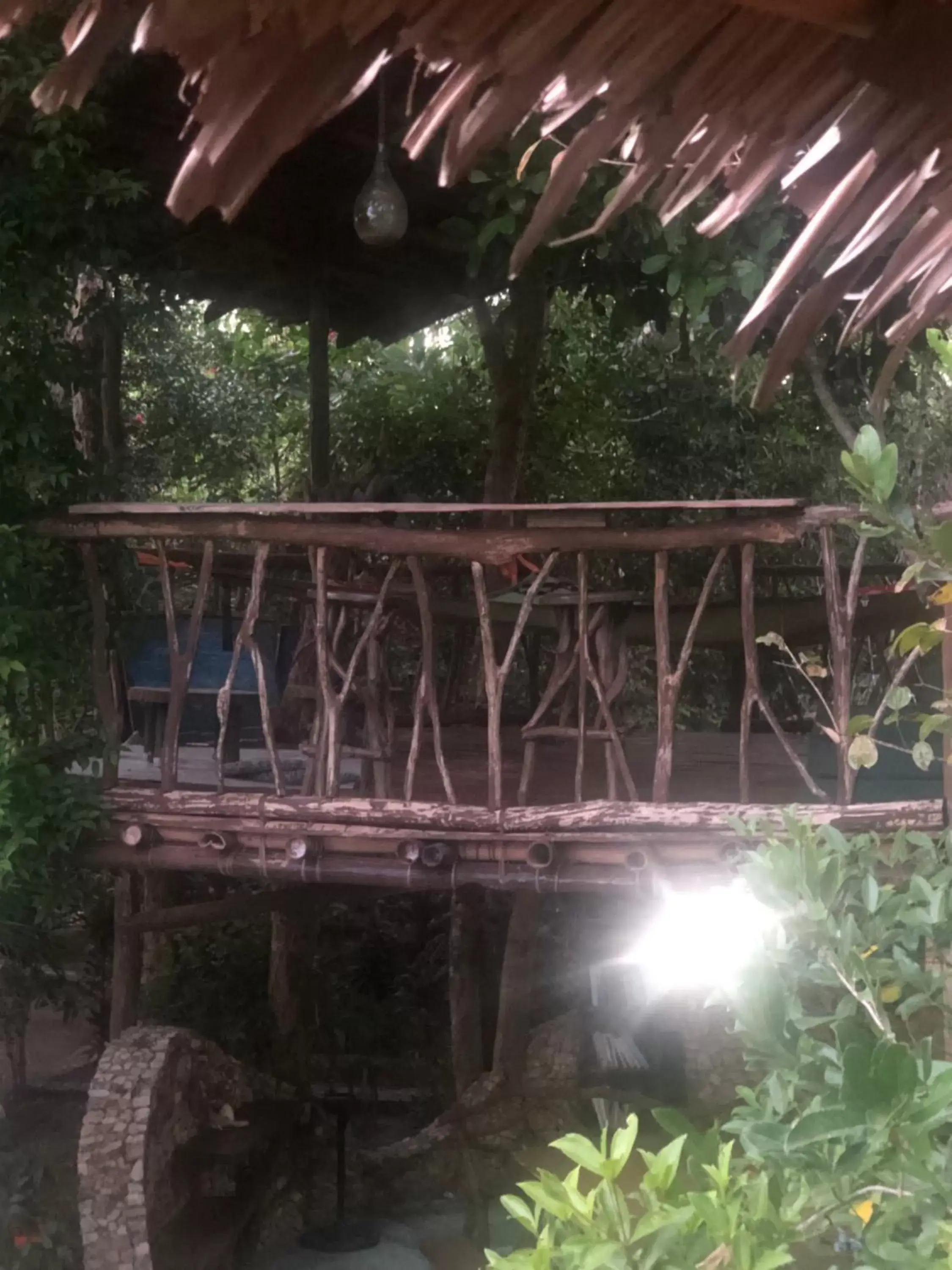 Sanctuaria Treehouses Busuanga