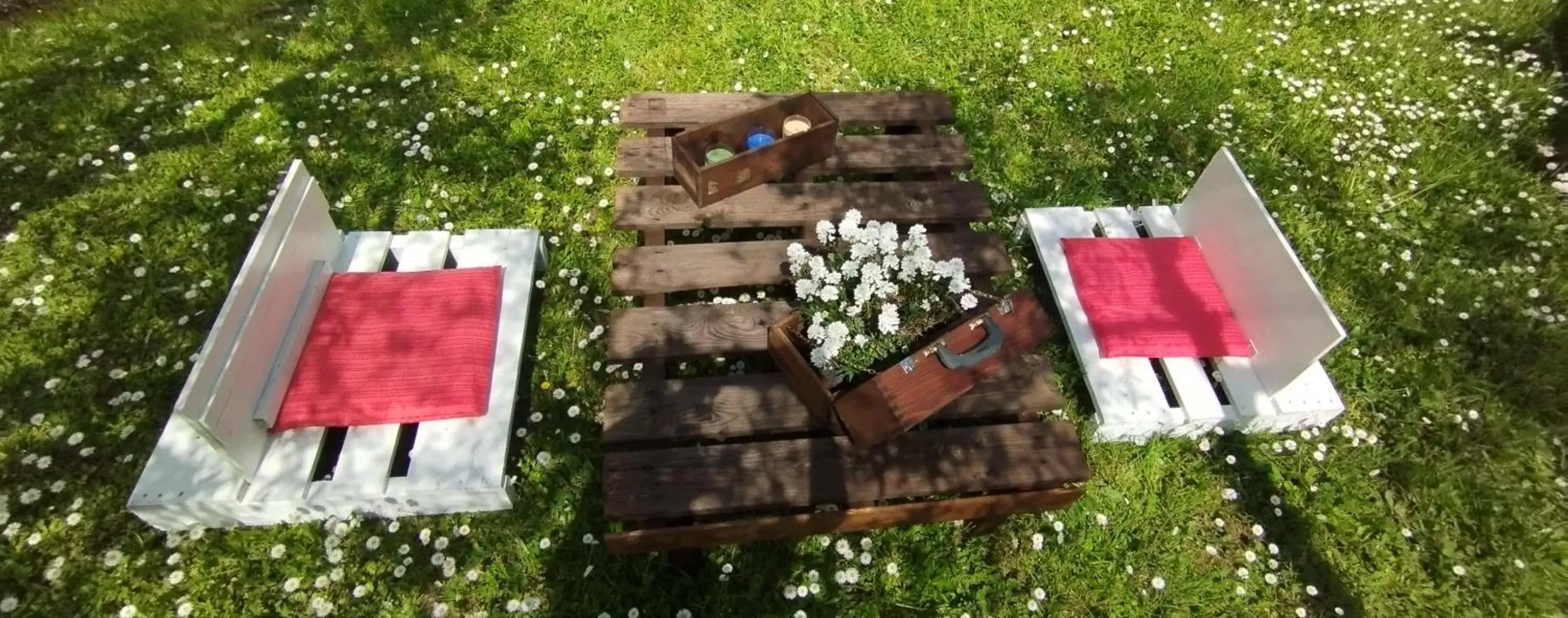 Garden, Bird's-eye View in La Casa tra Gli Ulivi Cottage House