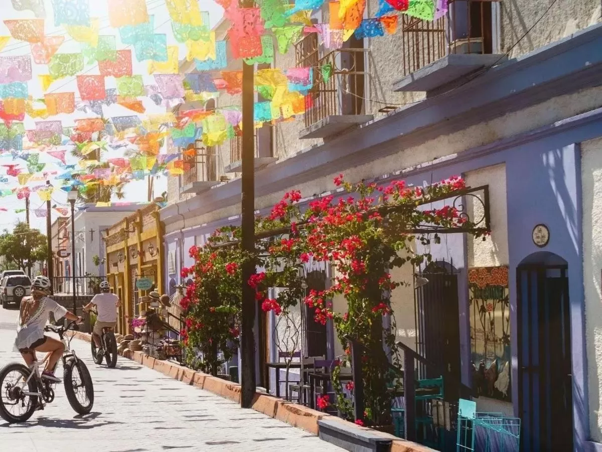 Cycling in Perro Surfero Hotel