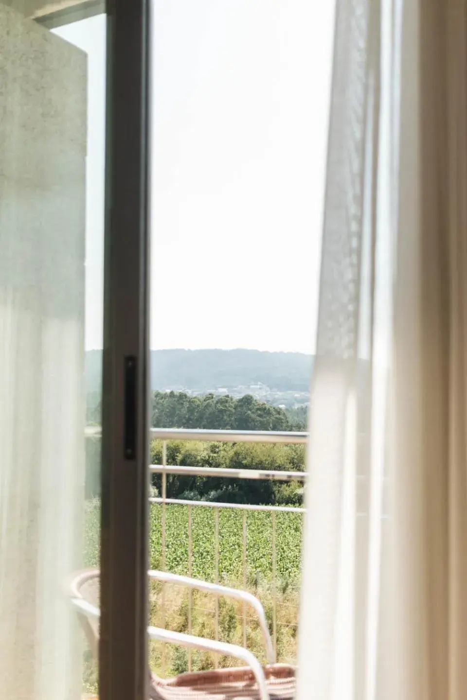 Balcony/Terrace in Hotel Peregrina