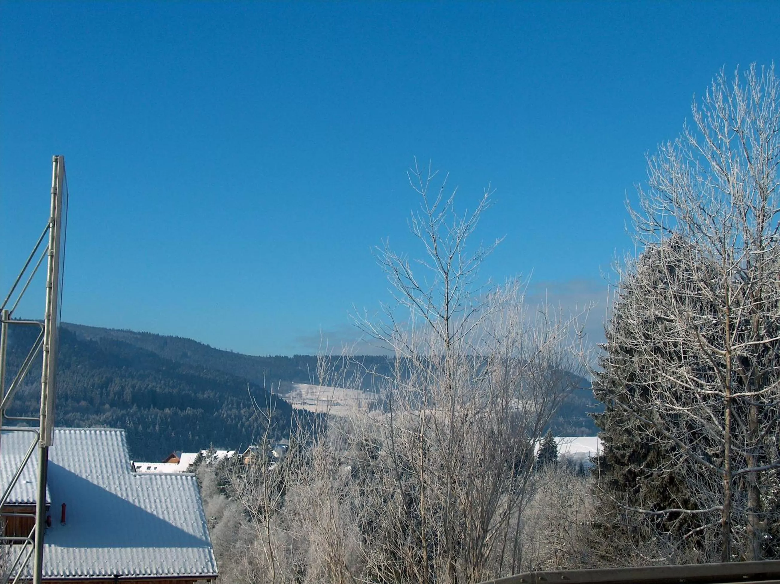 Natural landscape in ZUR TRAUBE Schwarzwaldhotel & Restaurant am Titisee