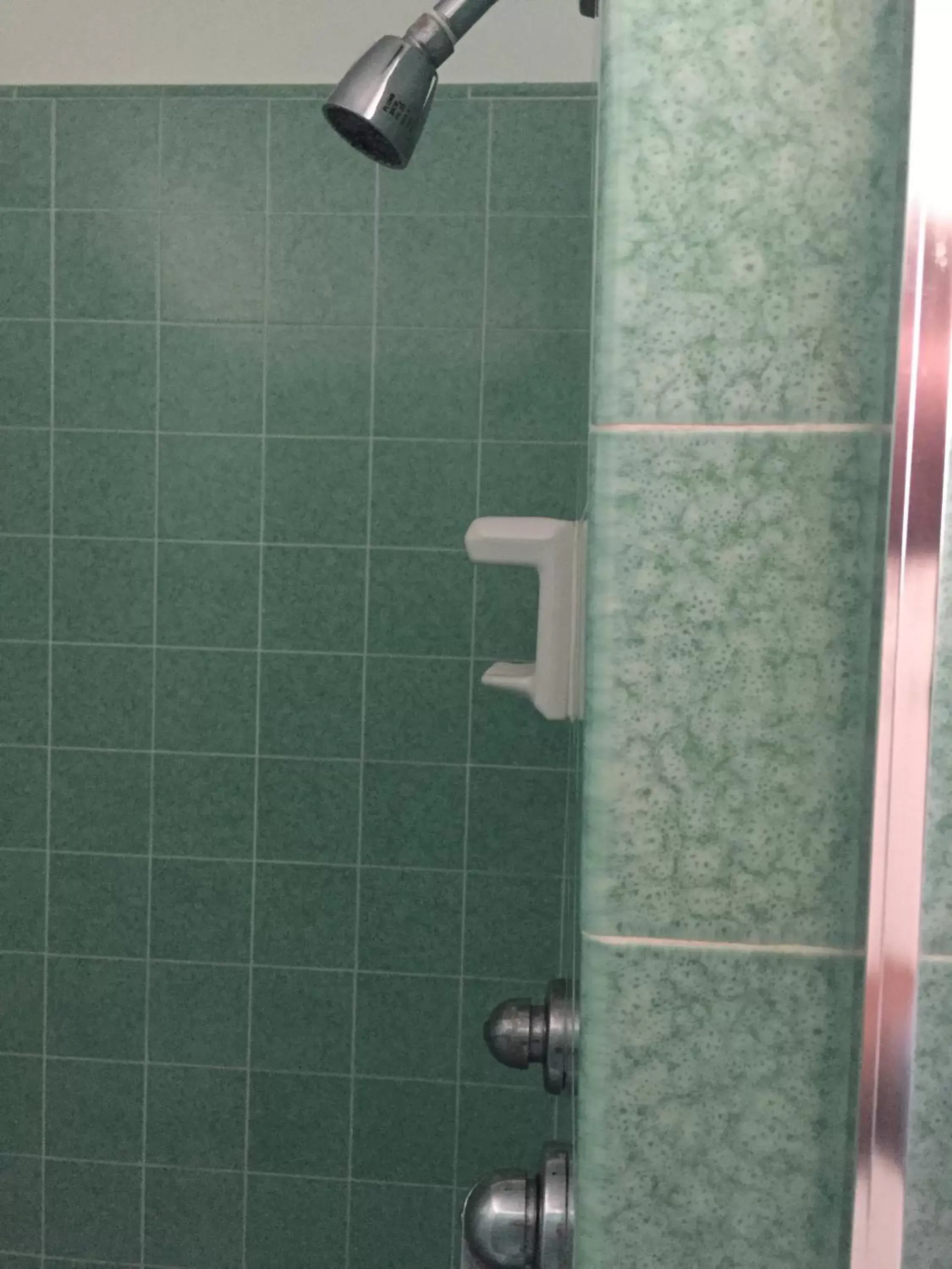 Shower, Bathroom in Robinhood Resort