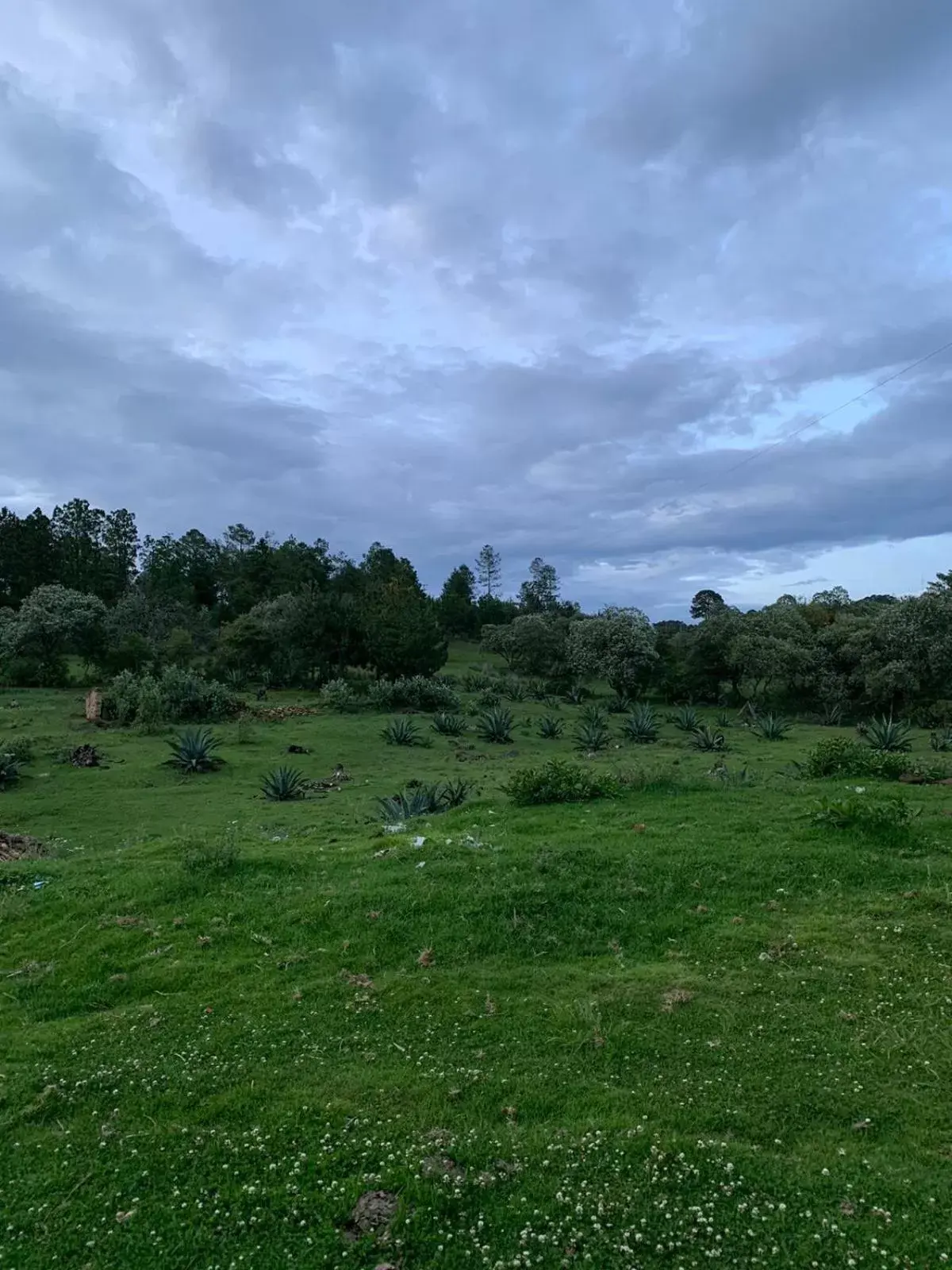 Antigua Hacienda Metepec