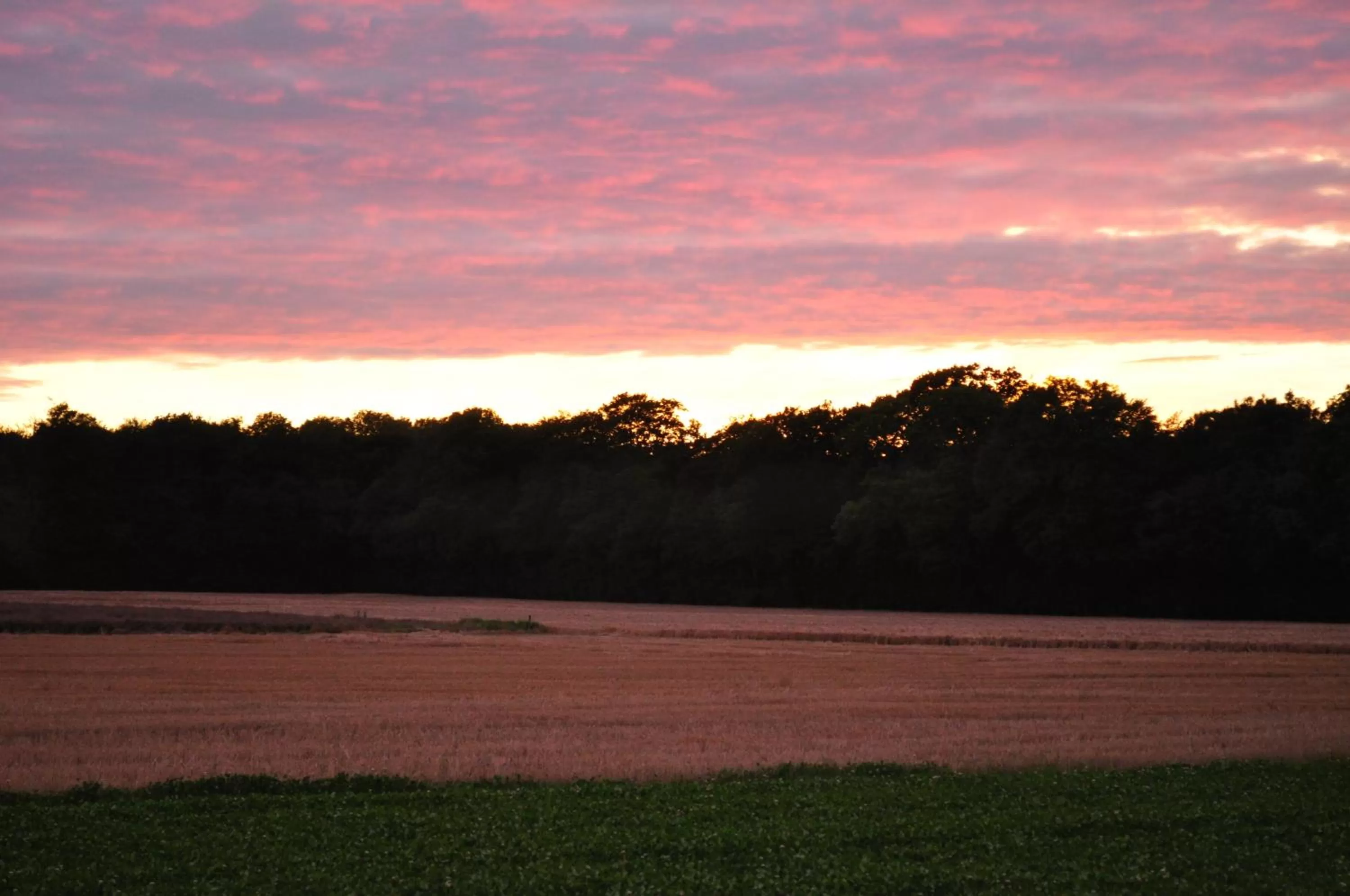 Area and facilities in Koebenhovedskov Bed & Breakfast