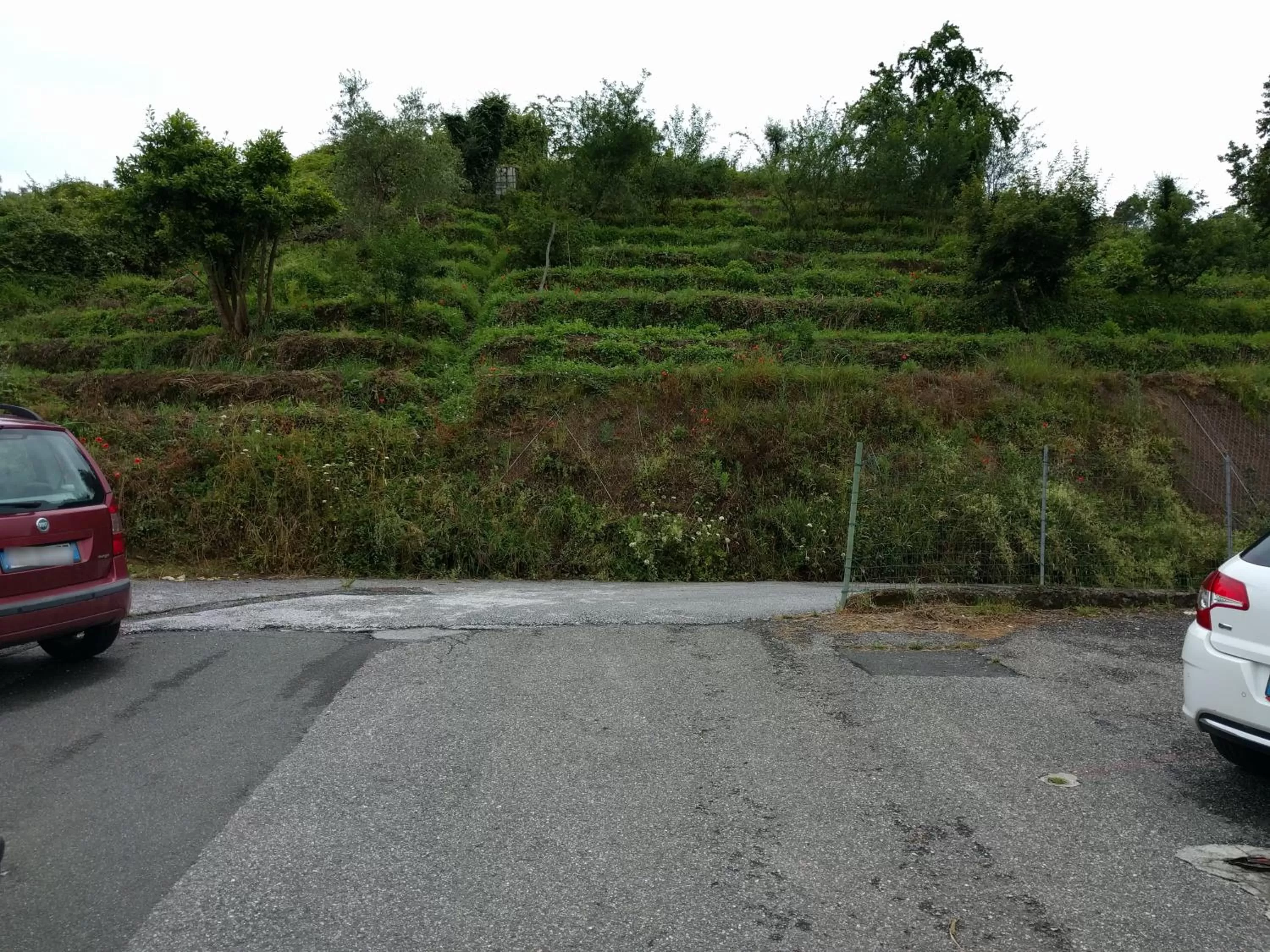 Spring in Sally's B&B