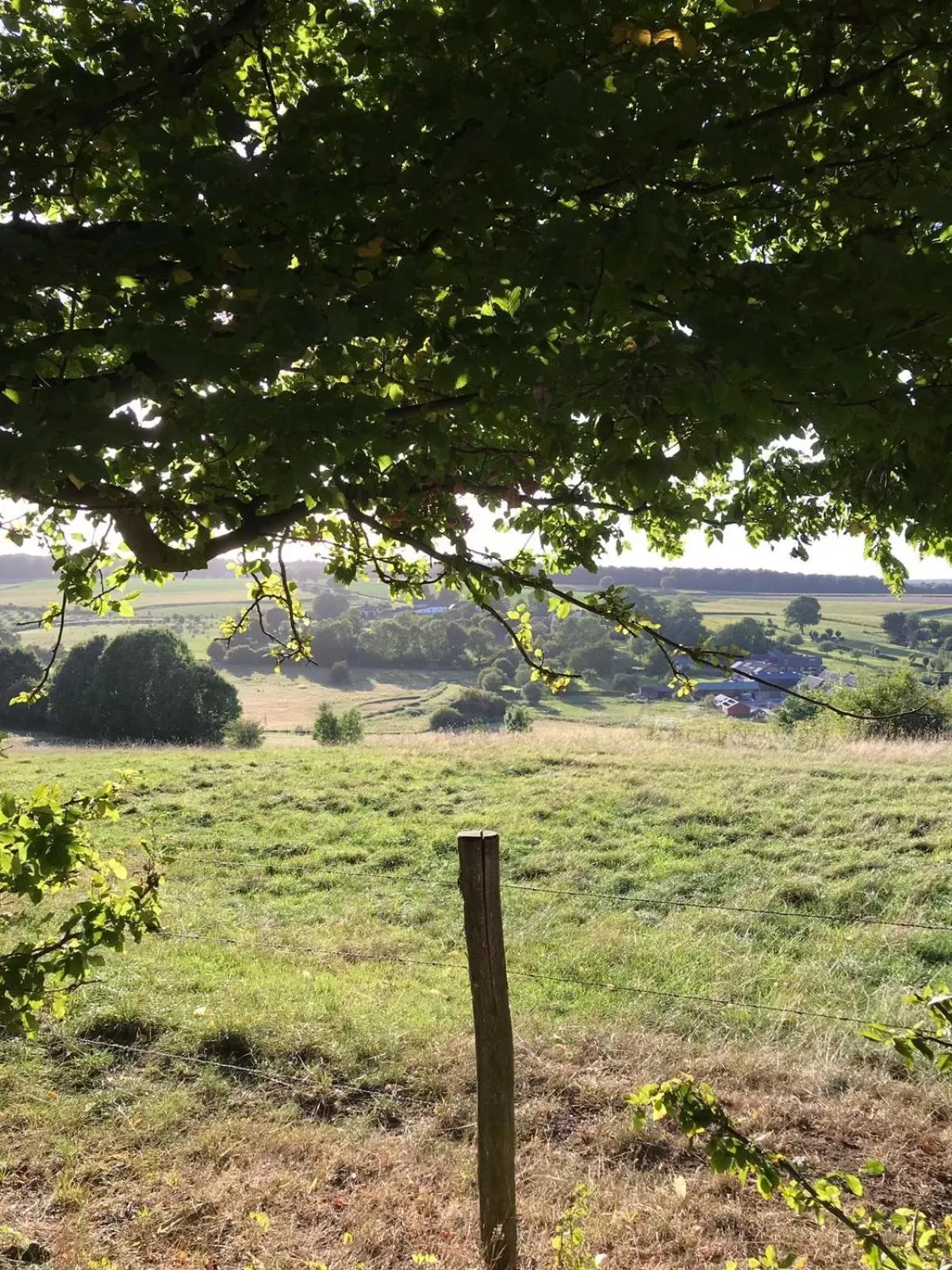 Natural landscape in B&B Holset70