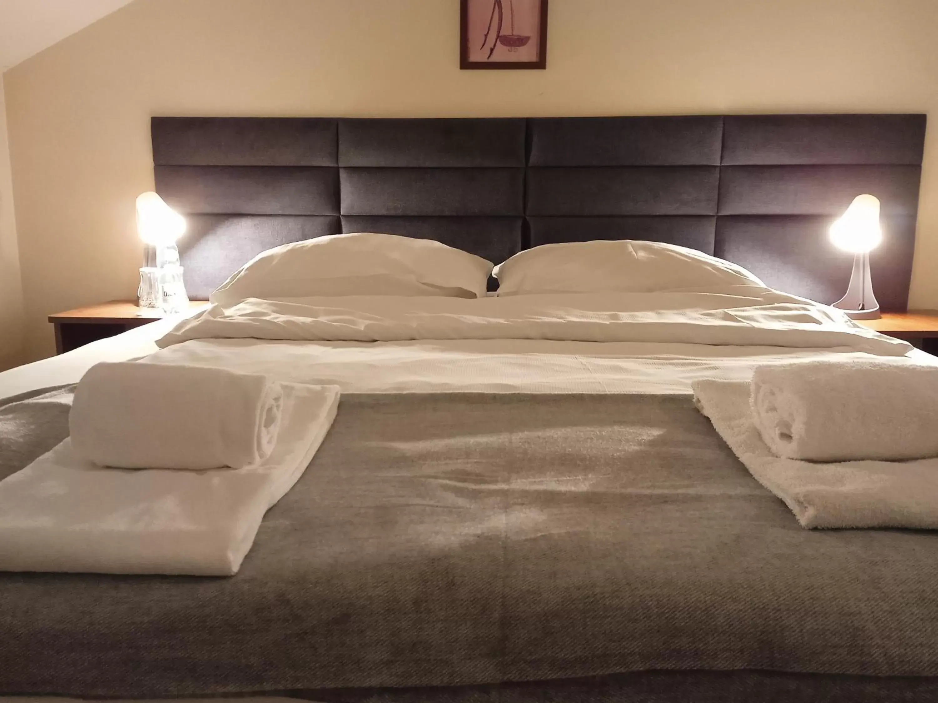 Standard Double Room in Centrum Konferencyjne Sułtan Standard Double Room in Centrum Konferencyjne Sułtan