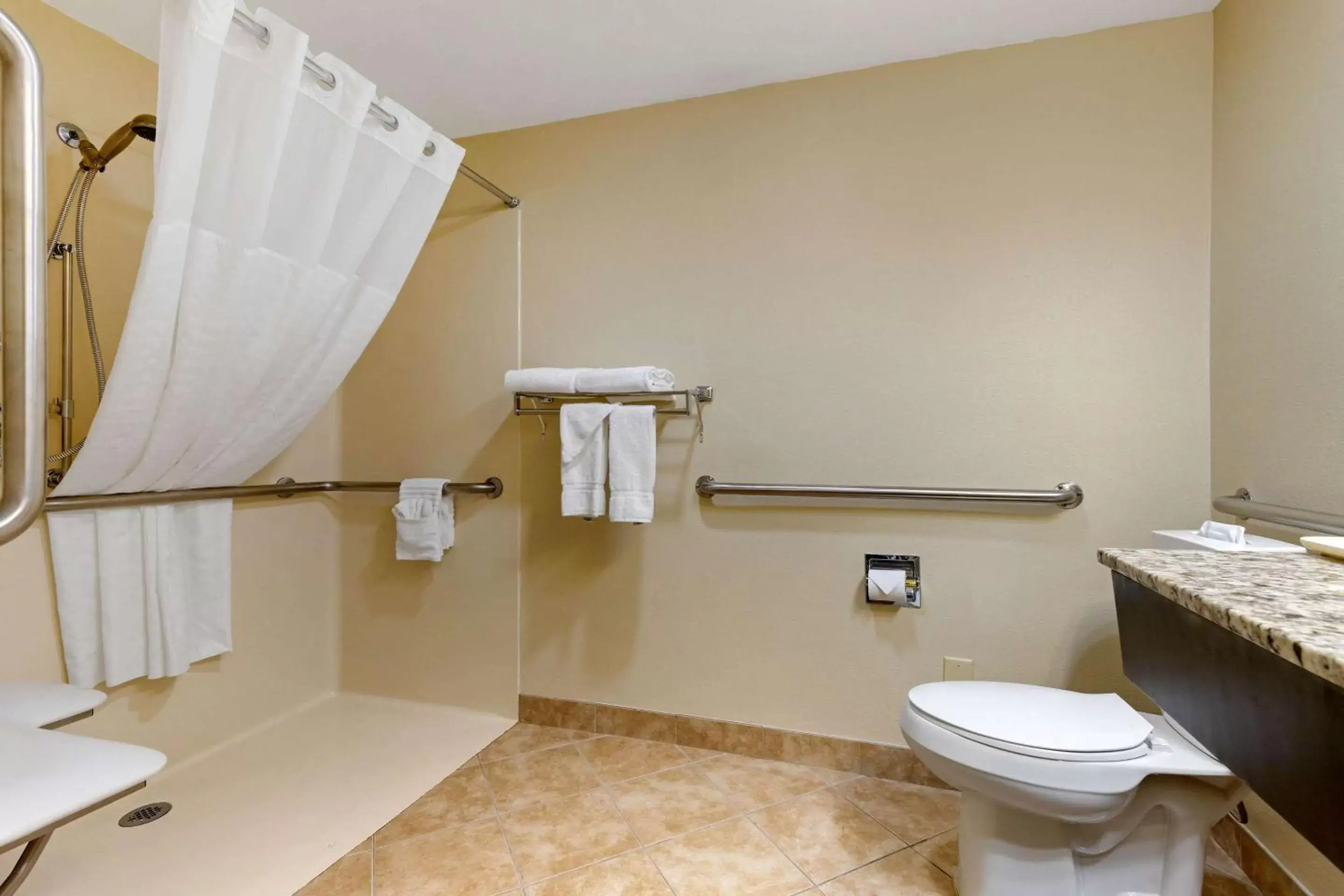 Bathroom in Comfort Inn Mars Hill