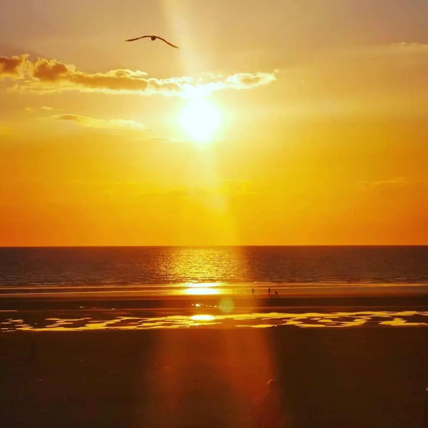 Sea view, Sunrise/Sunset in Les Chambres d'Hôtes de la Mer