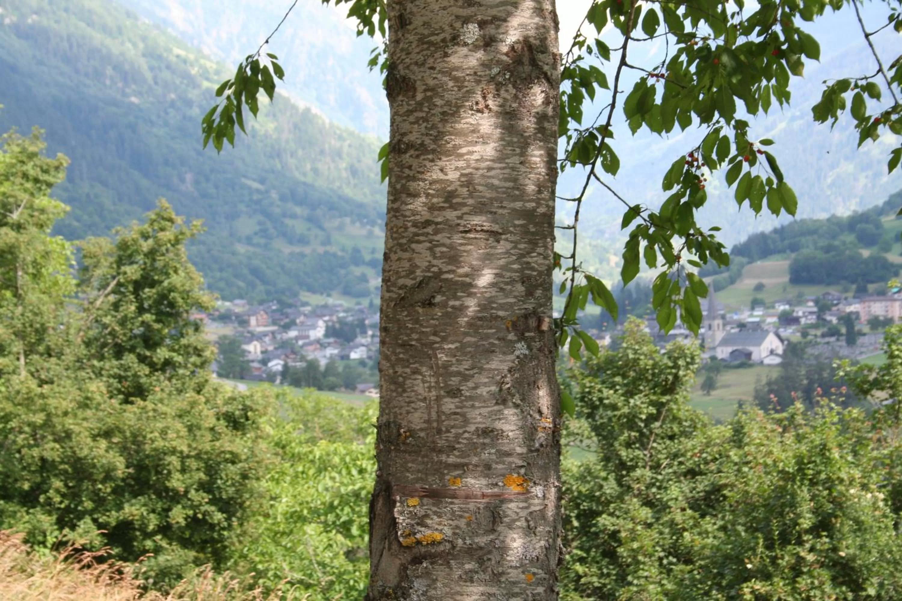 Off site in BnB Claudy et Elizabeth Michellod-Dutheil