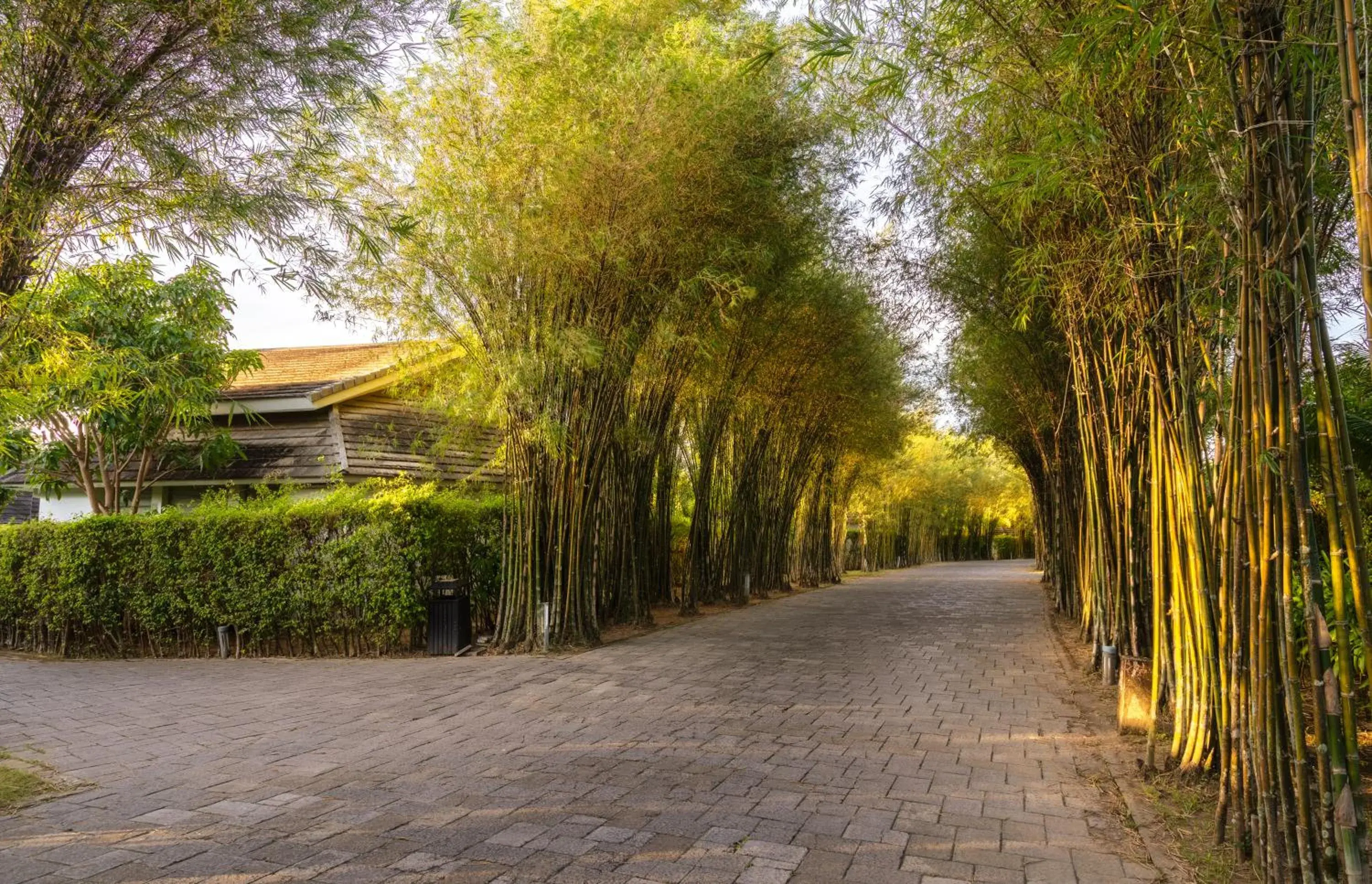 Natural landscape in The Shells Resort & Spa Phu Quoc