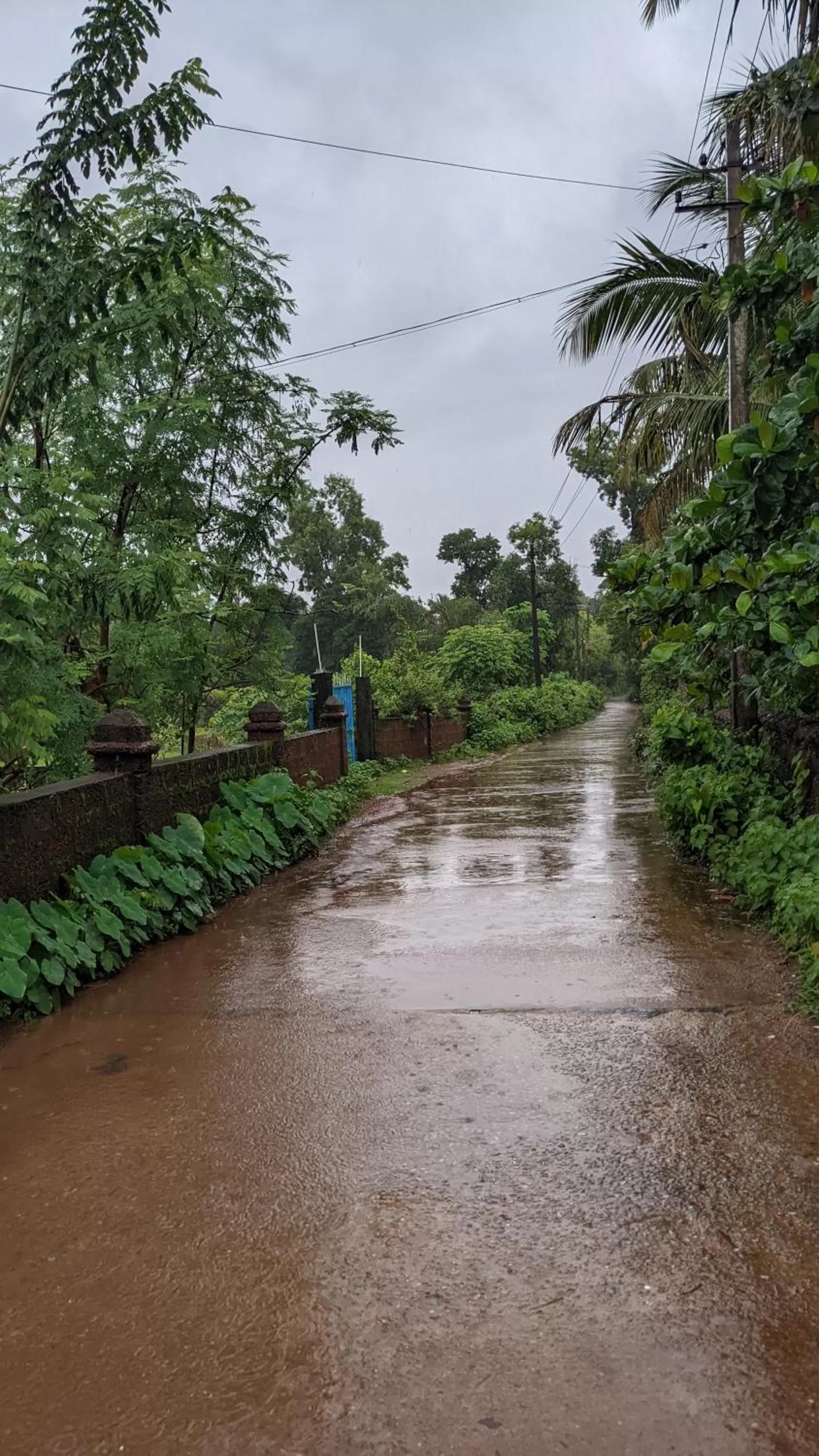 Natural landscape in MID BEACH STAY Gokarna
