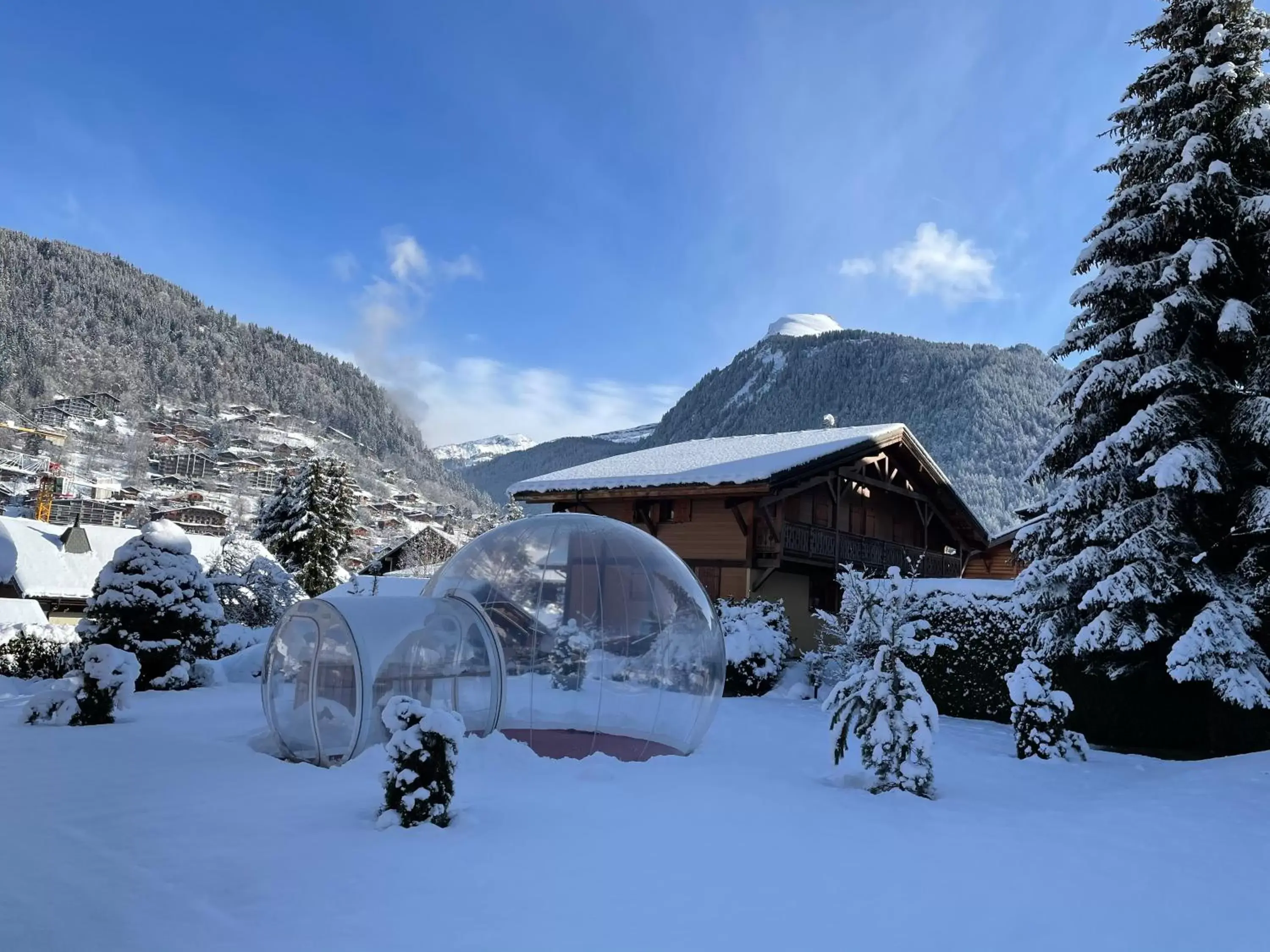 Natural landscape, Winter in Hotel Bel'alpe