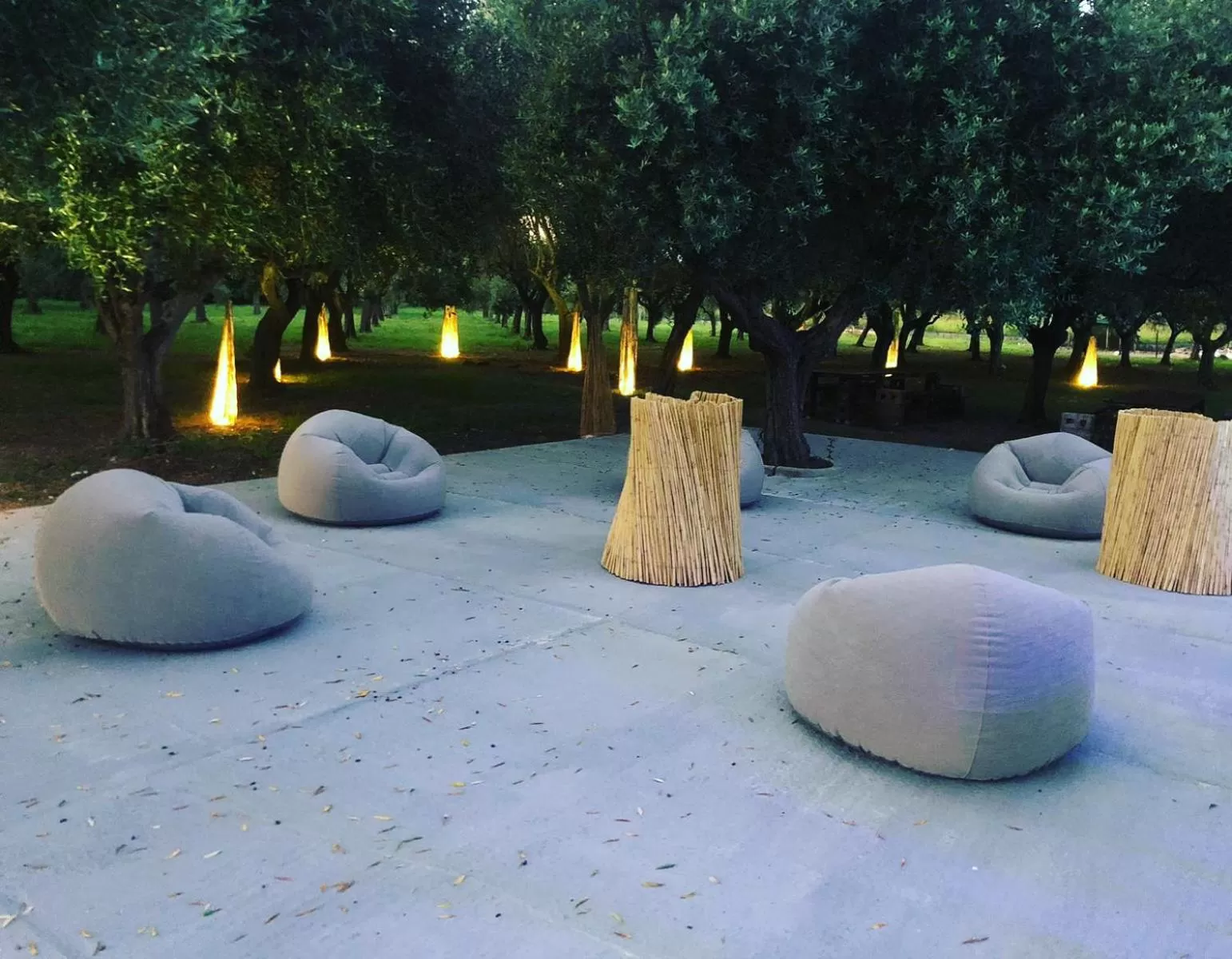 Area and facilities in B&B Cleofà Paestum