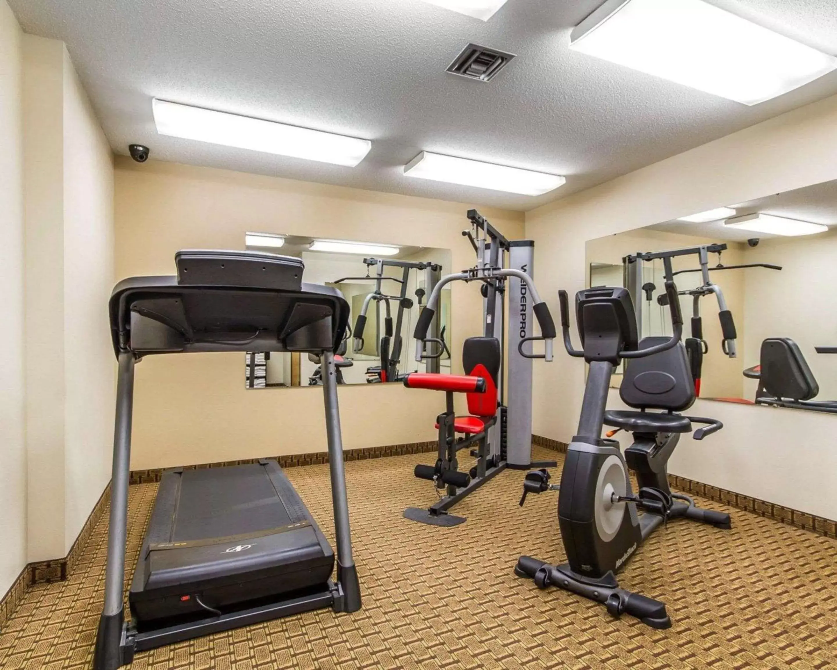 Fitness centre/facilities in Quality Inn Fitness centre/facilities in Quality Inn