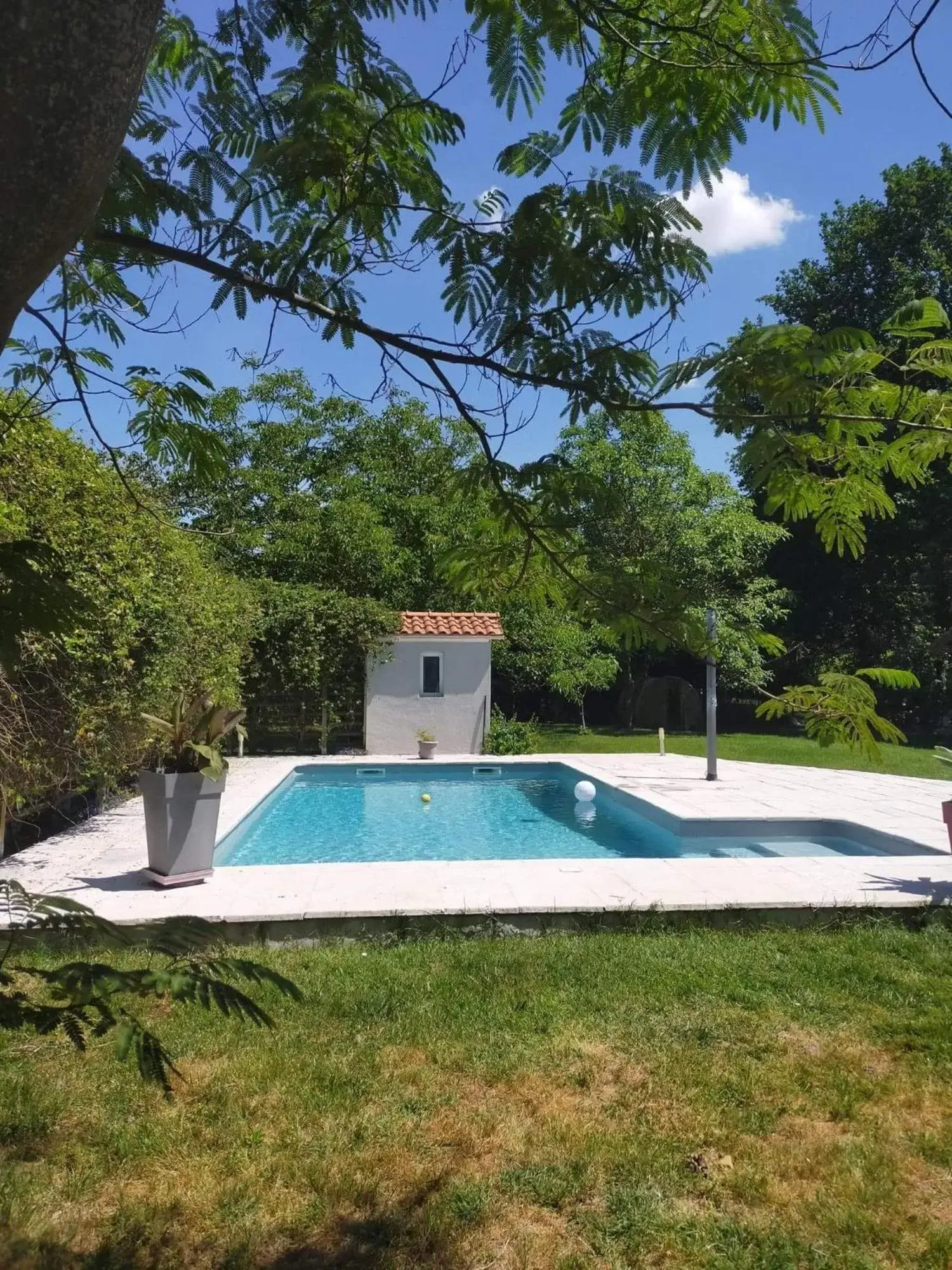 Swimming Pool in Les Agapanthes du frontonnais