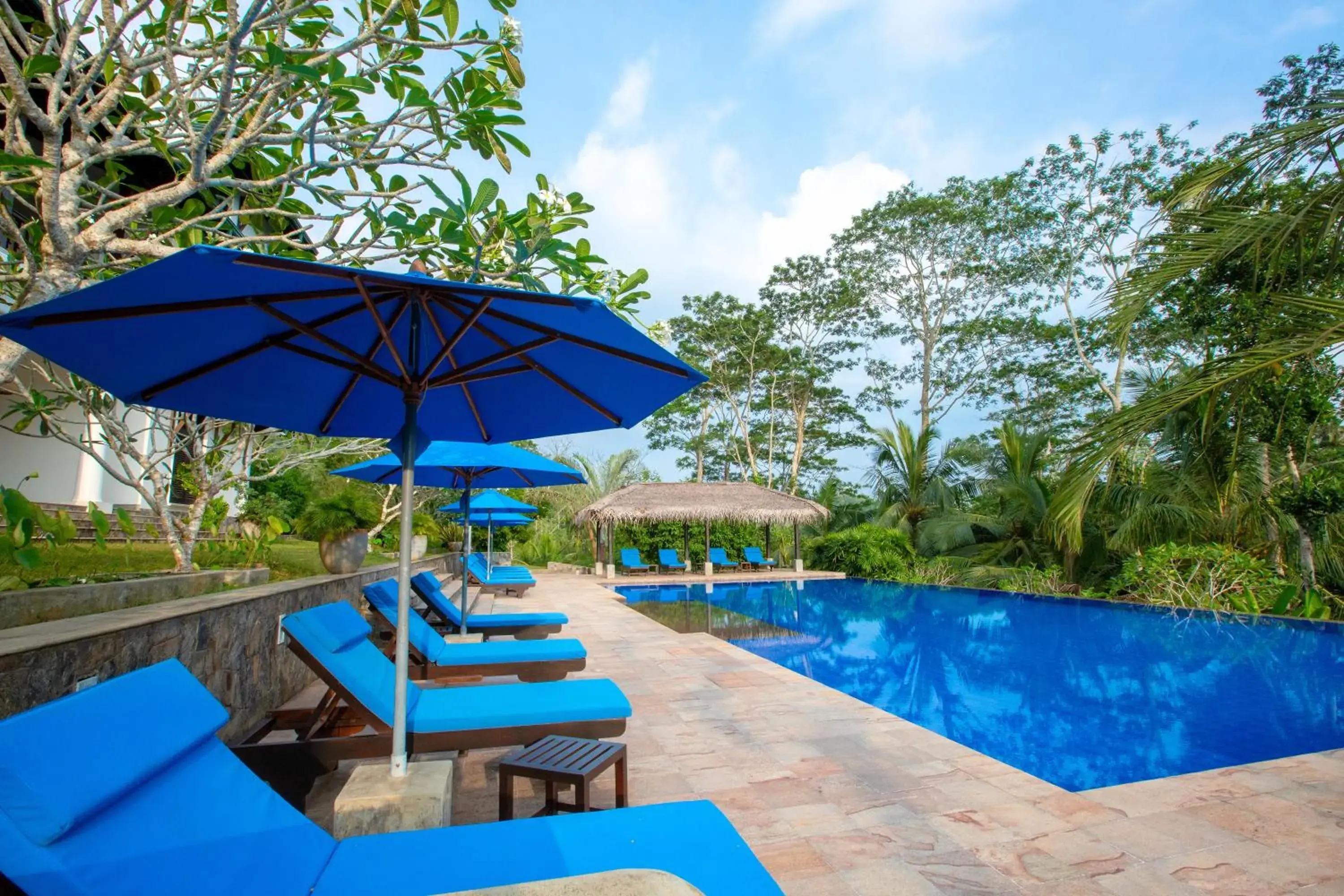 Swimming Pool in Niyagama House