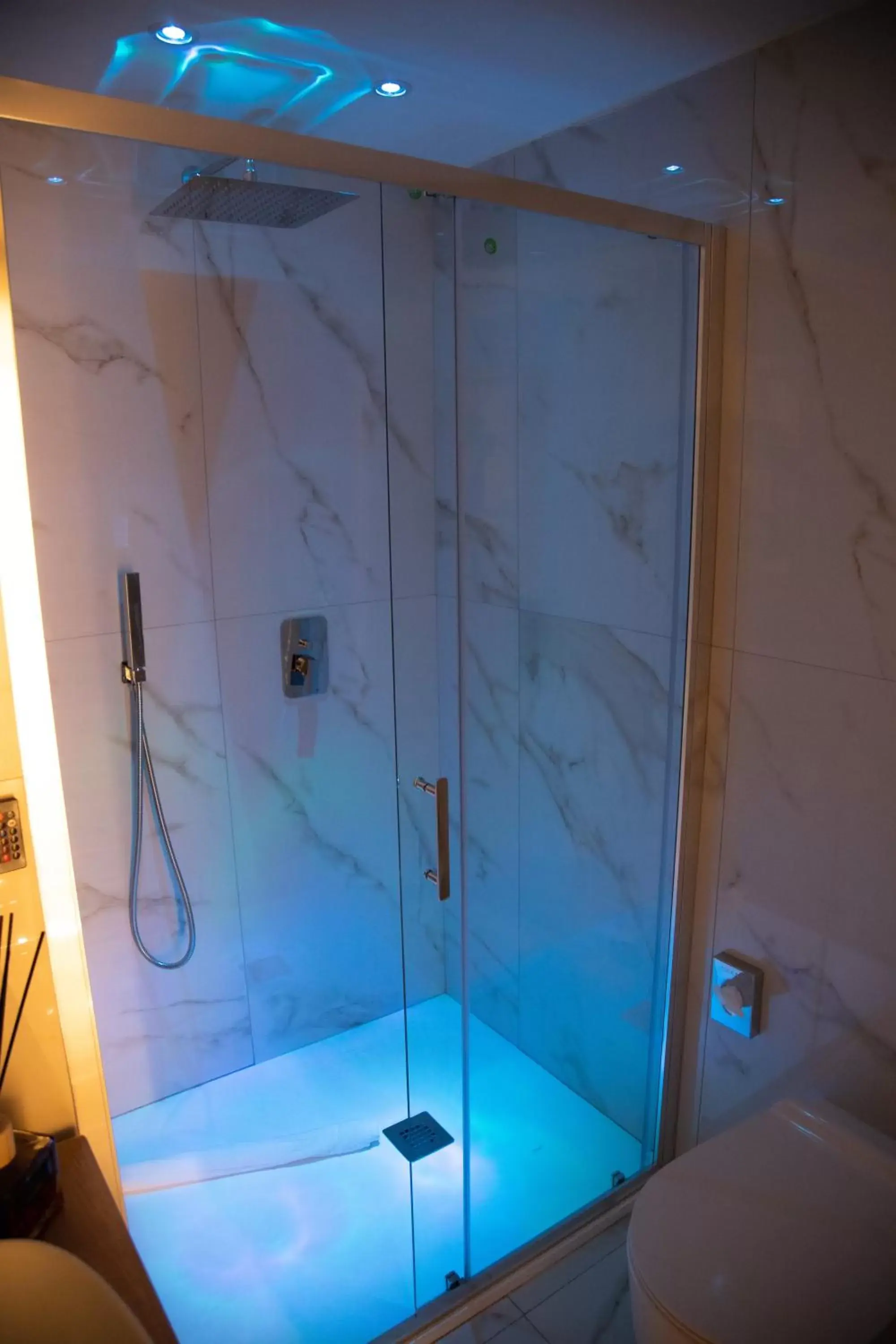 Shower, Bathroom in Gentile Suite