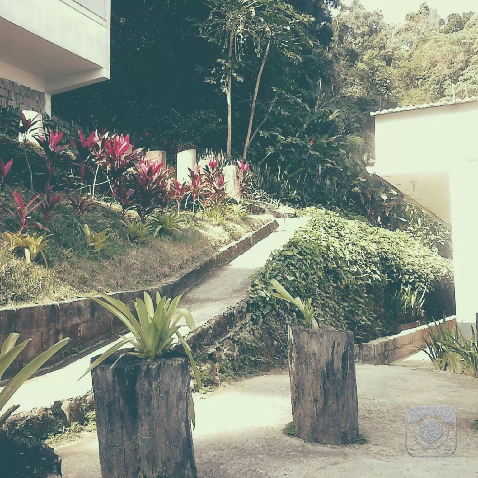 Garden view in Pousada Piquara