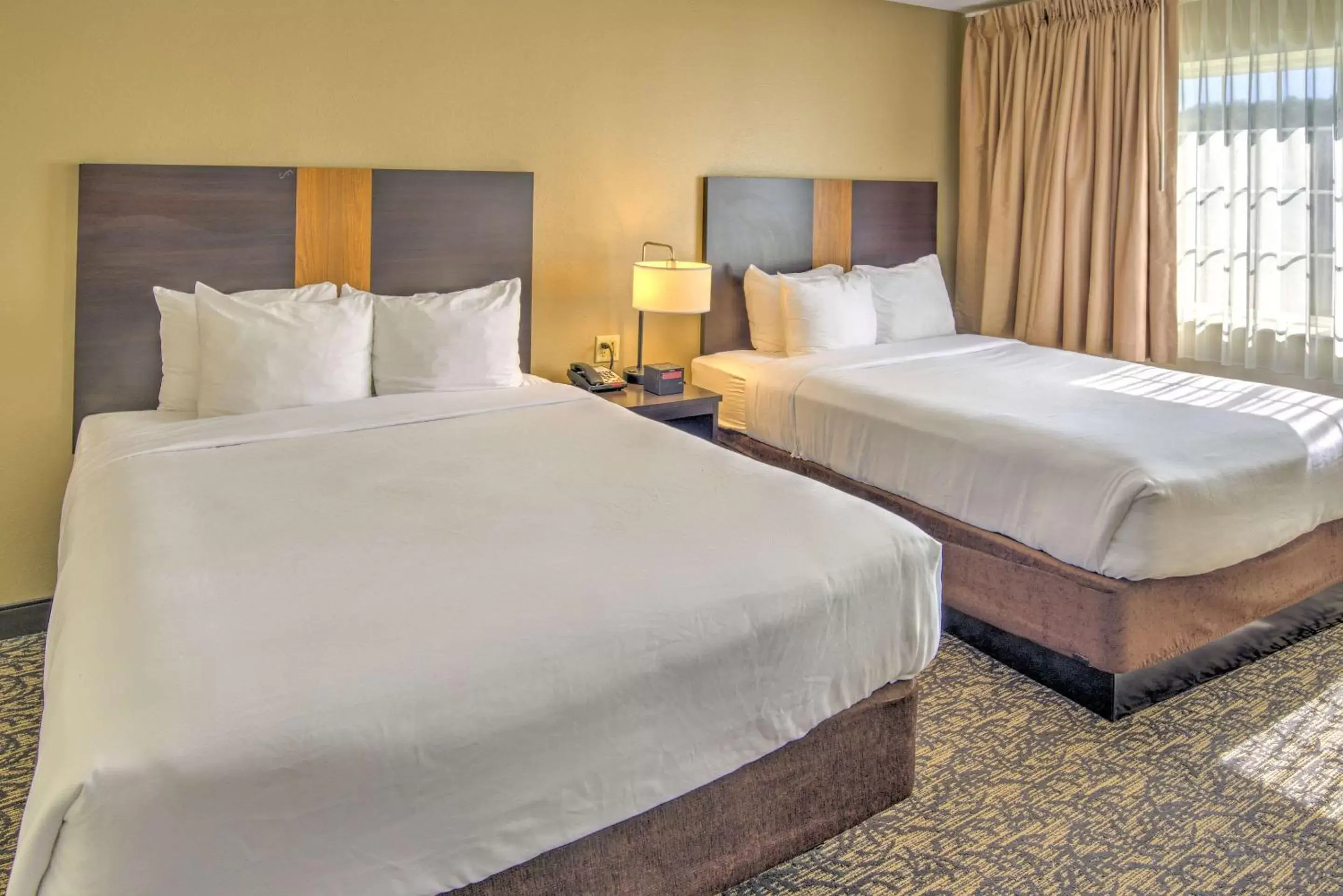 Photo of the whole room, Bed in LeConte Hotel & Convention Center, Ascend Hotel Collection