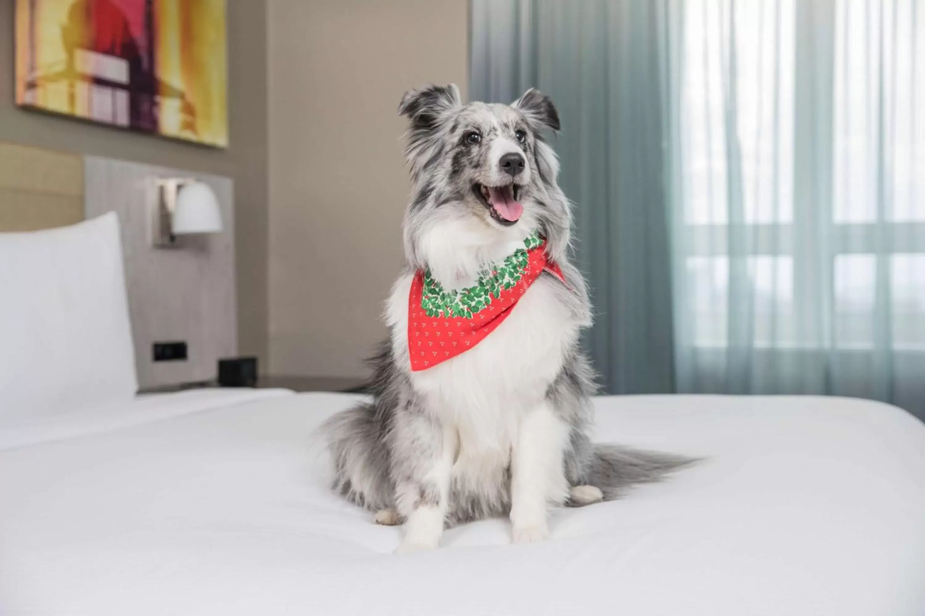 Photo of the whole room, Pets in Doubletree By Hilton New York Times Square West